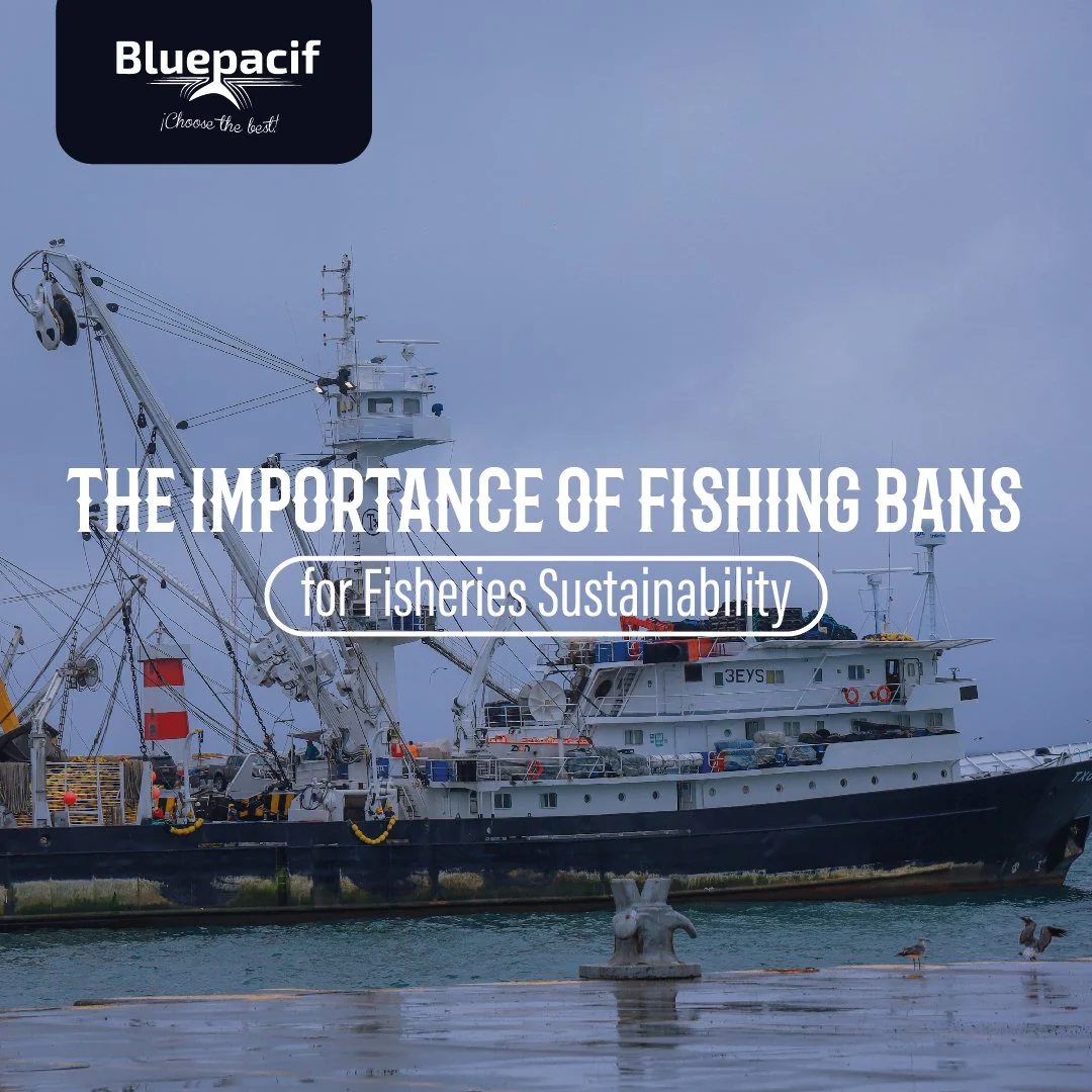 The Importance of Fishing Bans for Fisheries Sustainability
