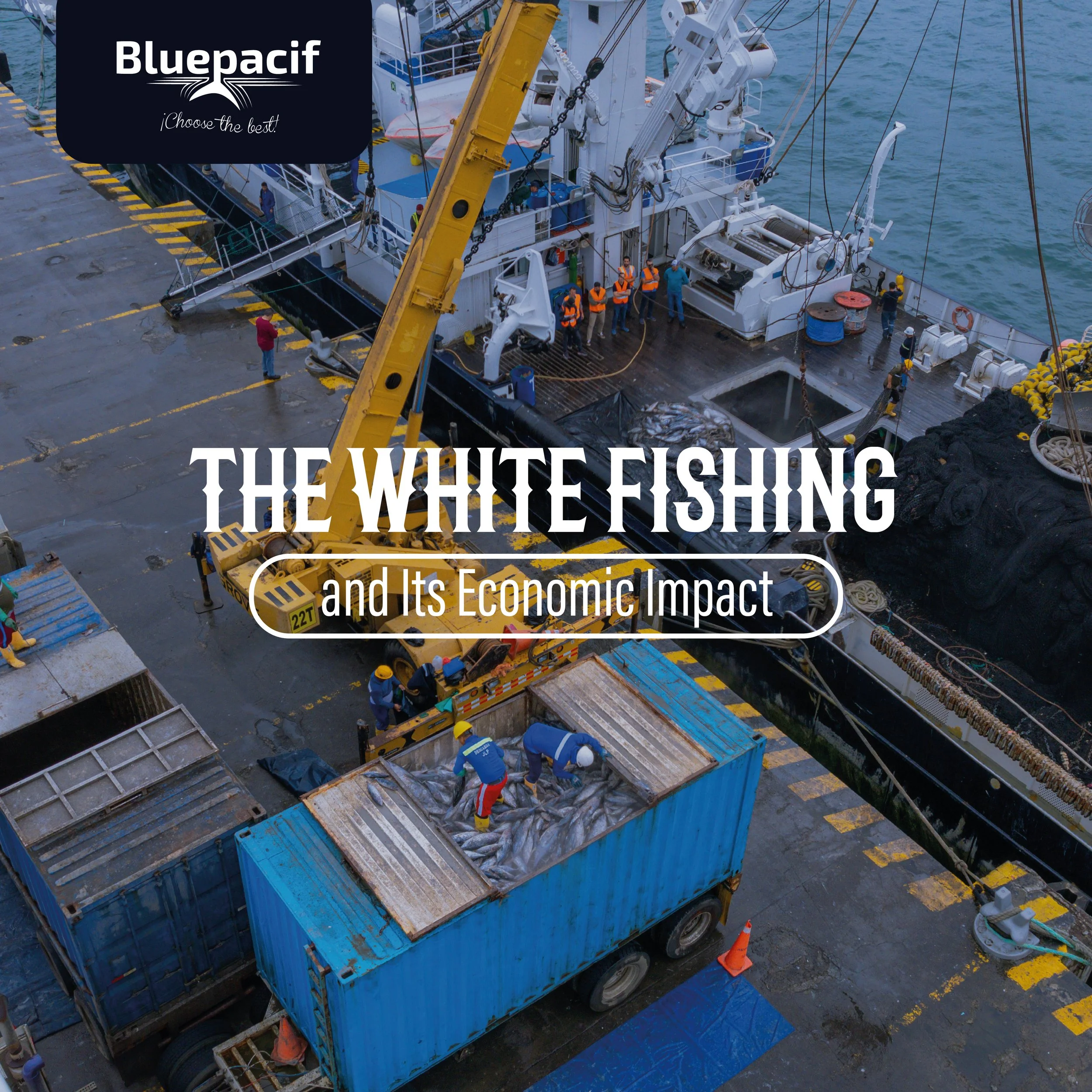 The White Fishing and Its Economic Impact
