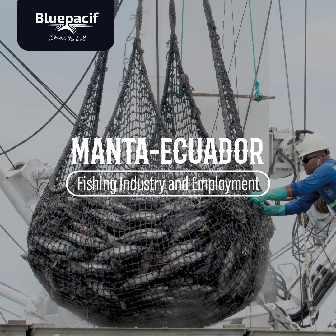 Manta-Ecuador: Fishing Industry and Employment 