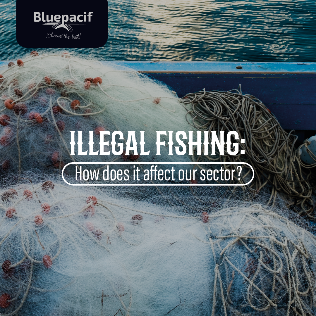 Illegal Fishing: How does it affect our sector?