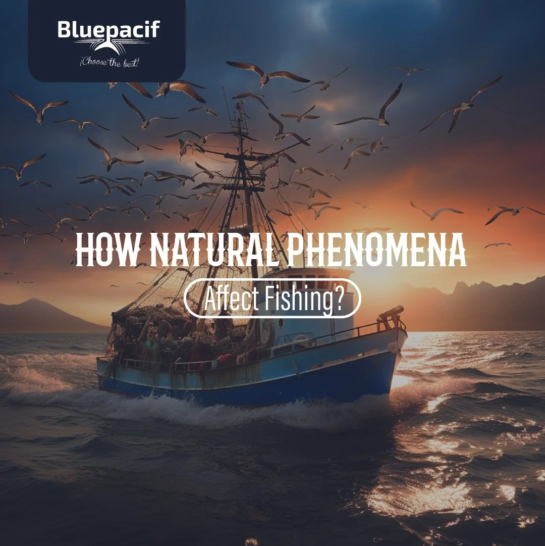 ¿How Natural Phenomena Affect Fishing?