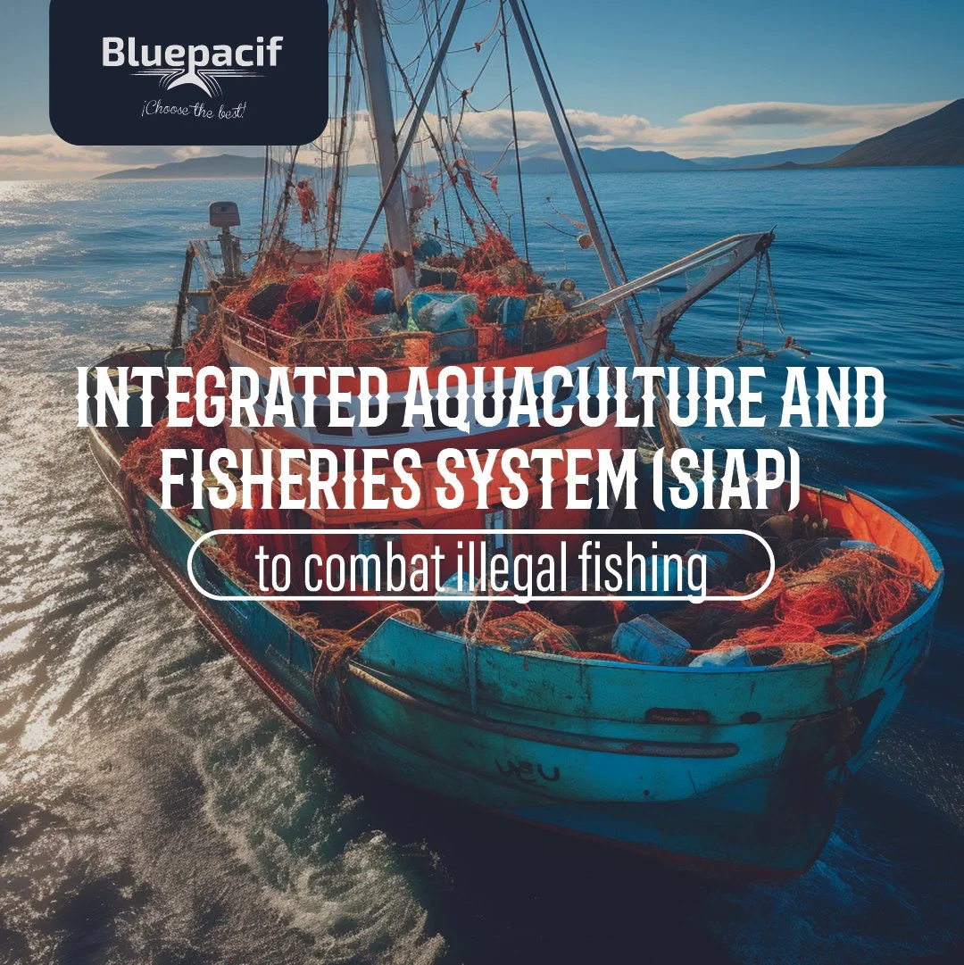 Ecuador is Implementing the Integrated Aquaculture and Fisheries System (SIAP) to Combat Illegal Fishing