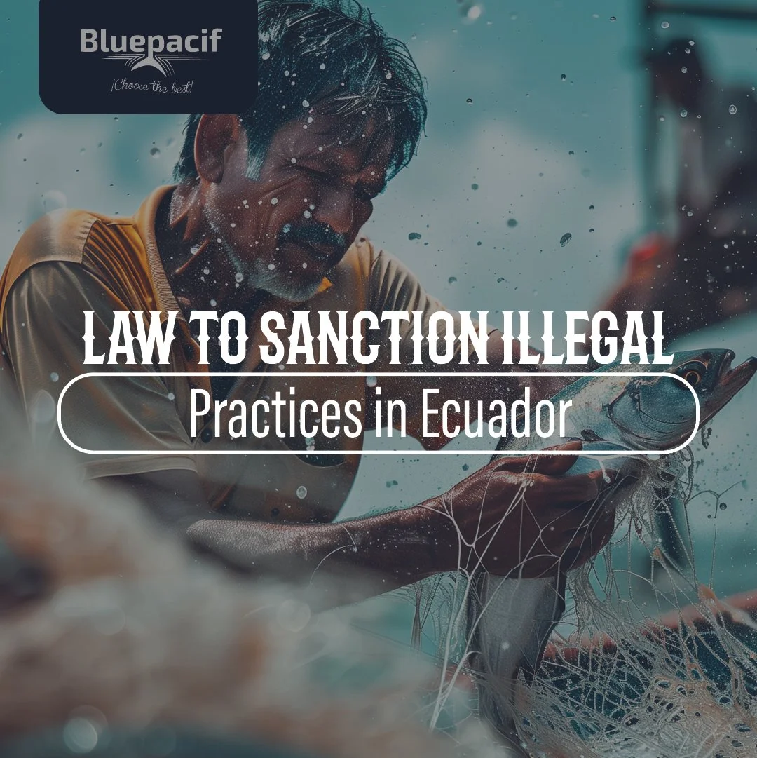 Law to Sanction Illegal Practices in Ecuador