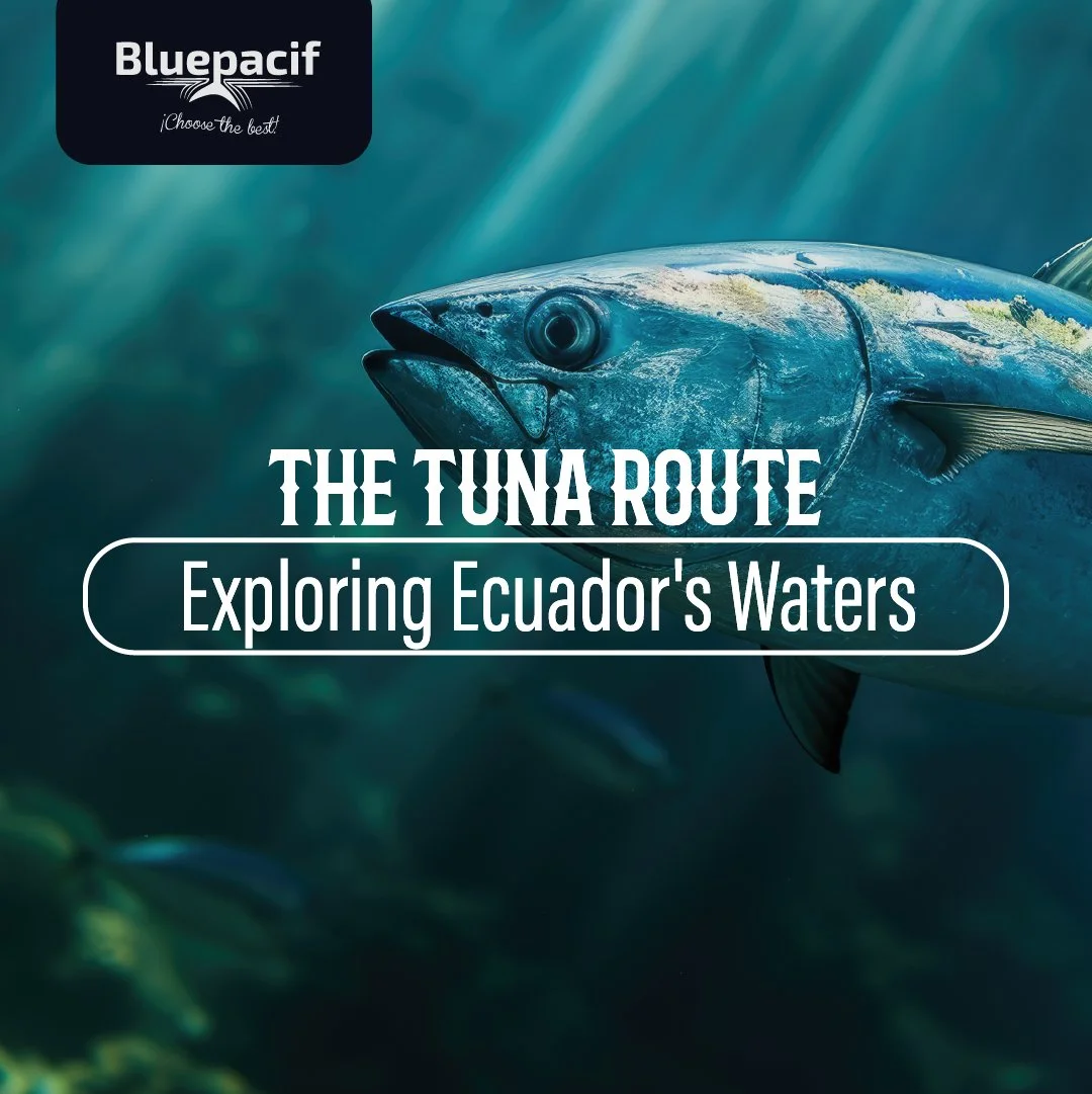 The Tuna Route: Exploring Ecuador's Waters