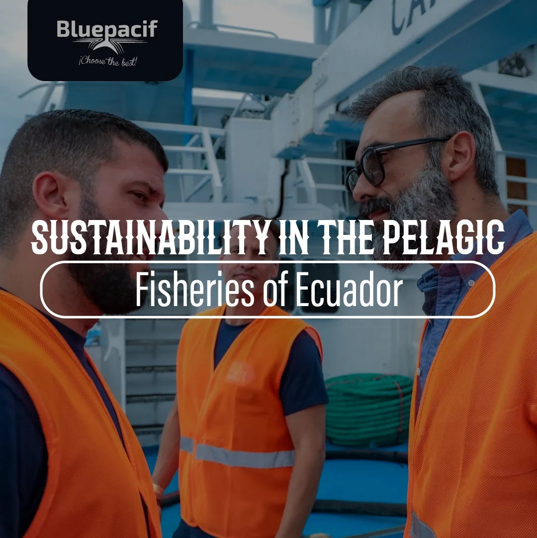 Sustainability in the Pelagic Fisheries of Ecuador