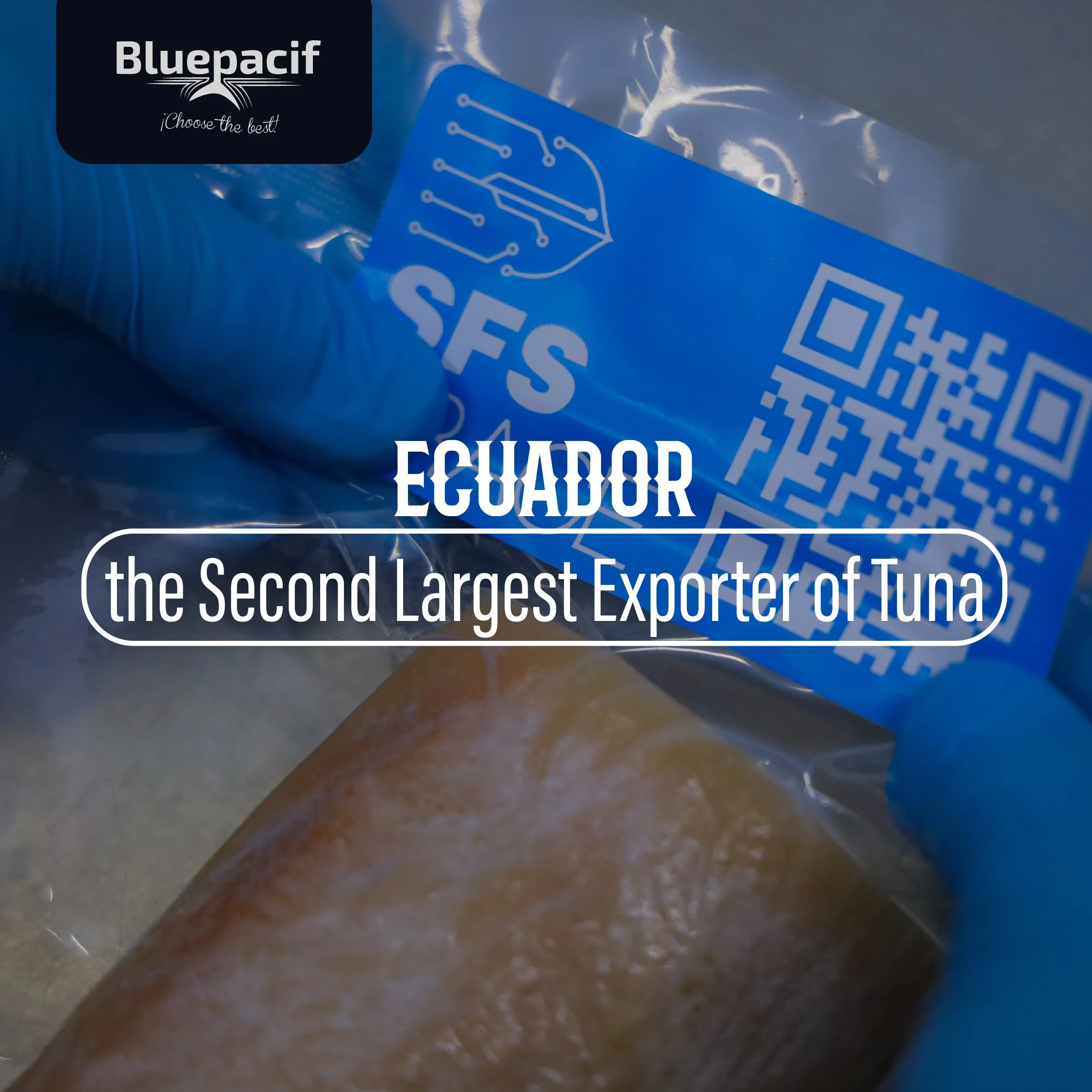 Ecuador the Second Largest Exporter of Tuna