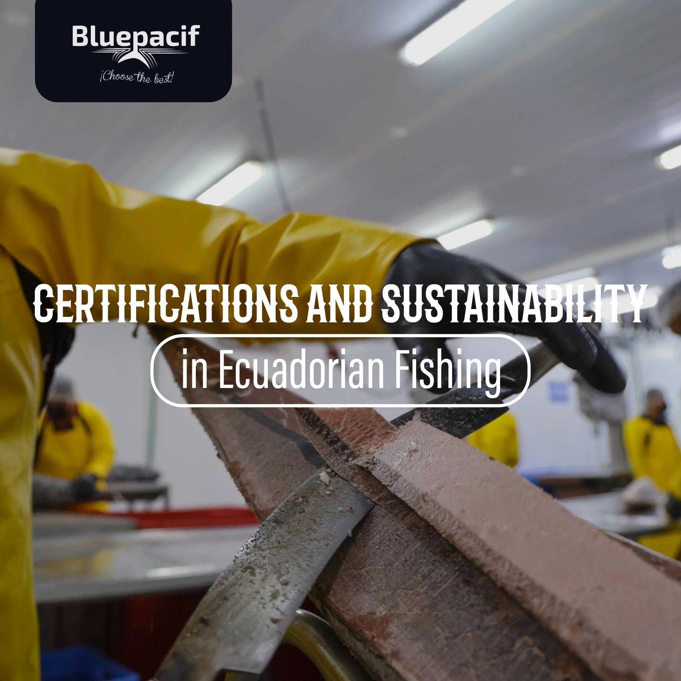 Certifications and Sustainability in Ecuadorian Fishing
