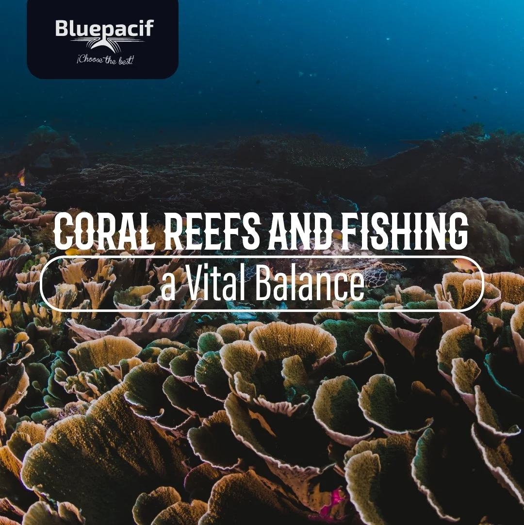 Coral Reefs and Fishing: A Vital Balance