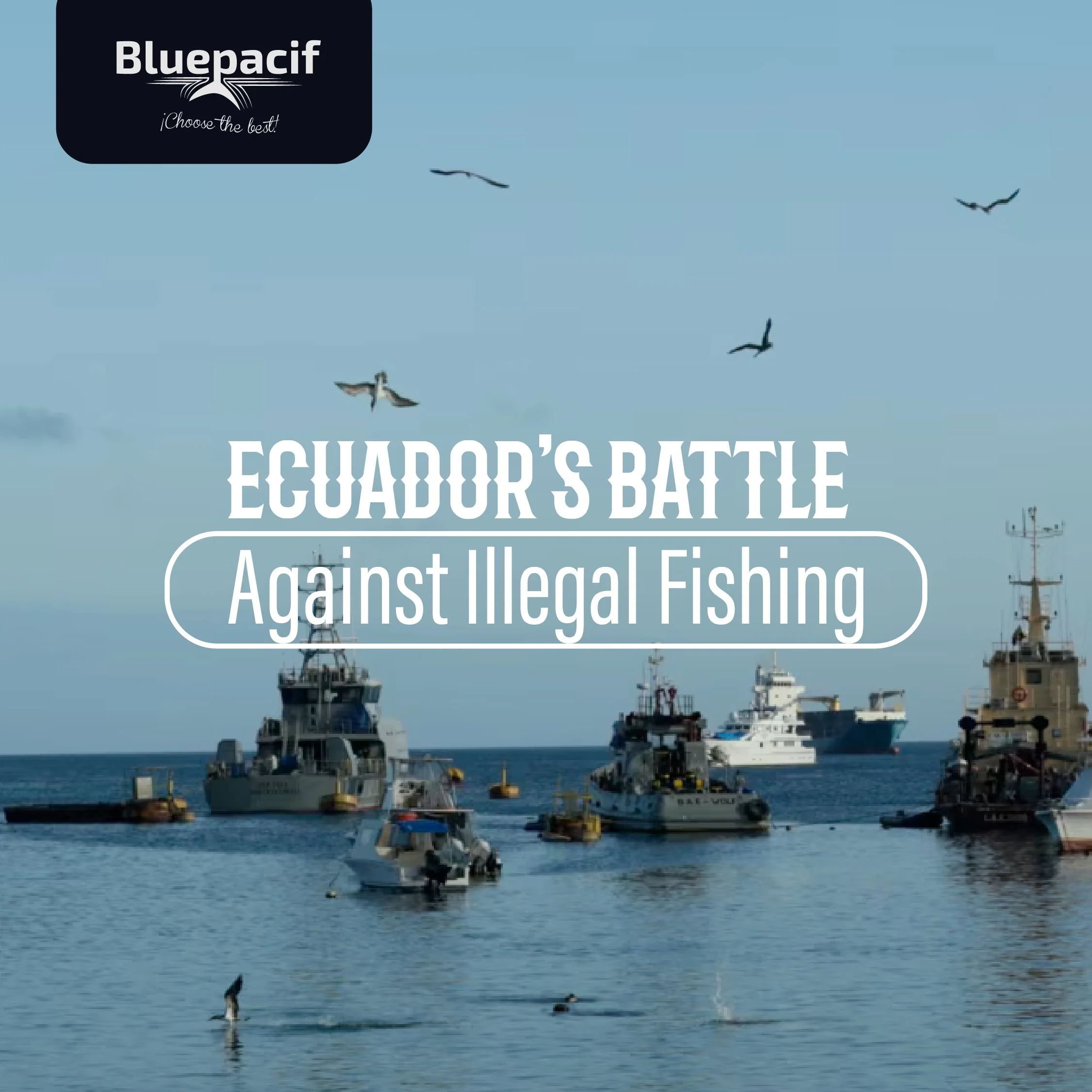Protecting Galápagos: Ecuador's Battle Against Illegal Fishing