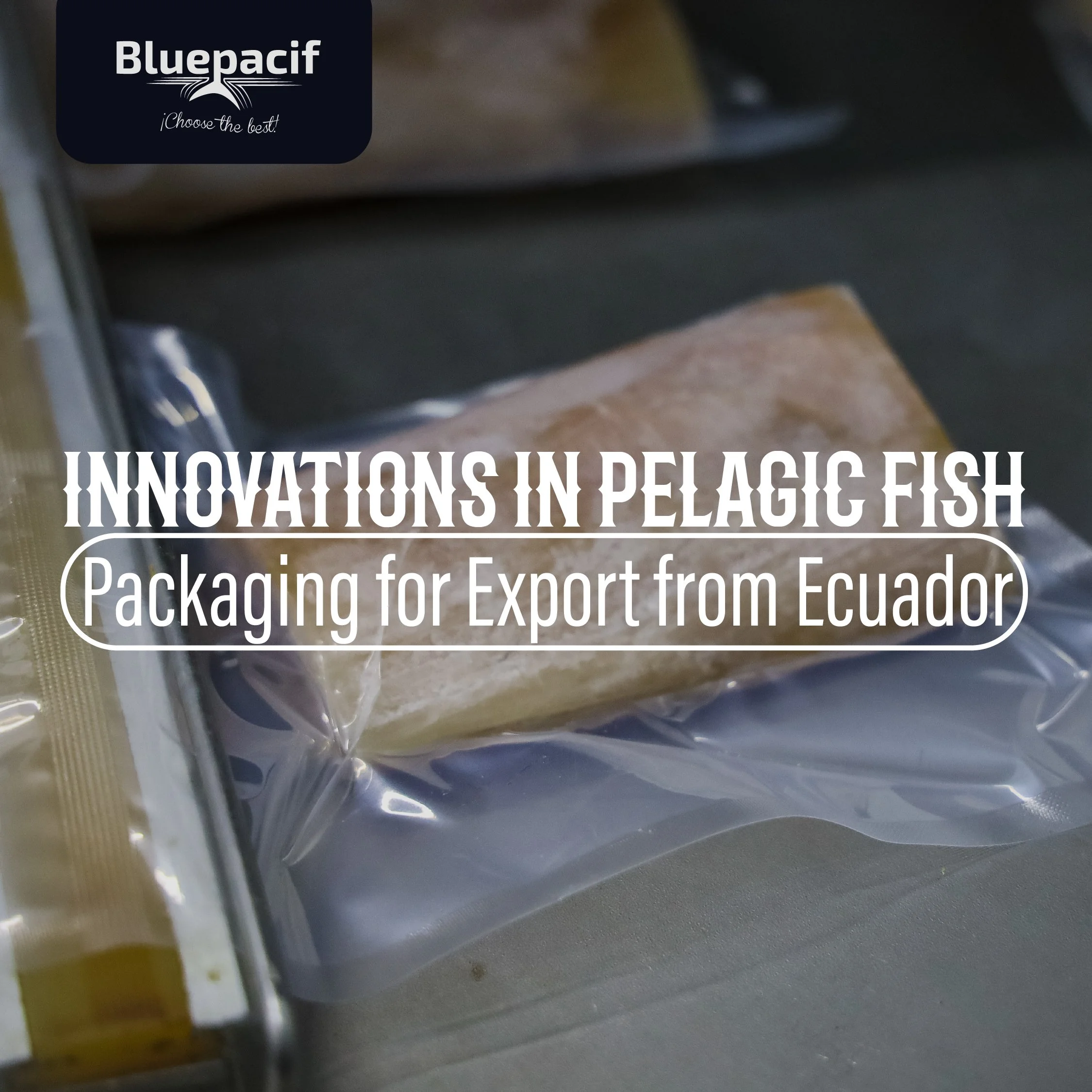 Innovations in Pelagic Fish Packaging for Export from Ecuador