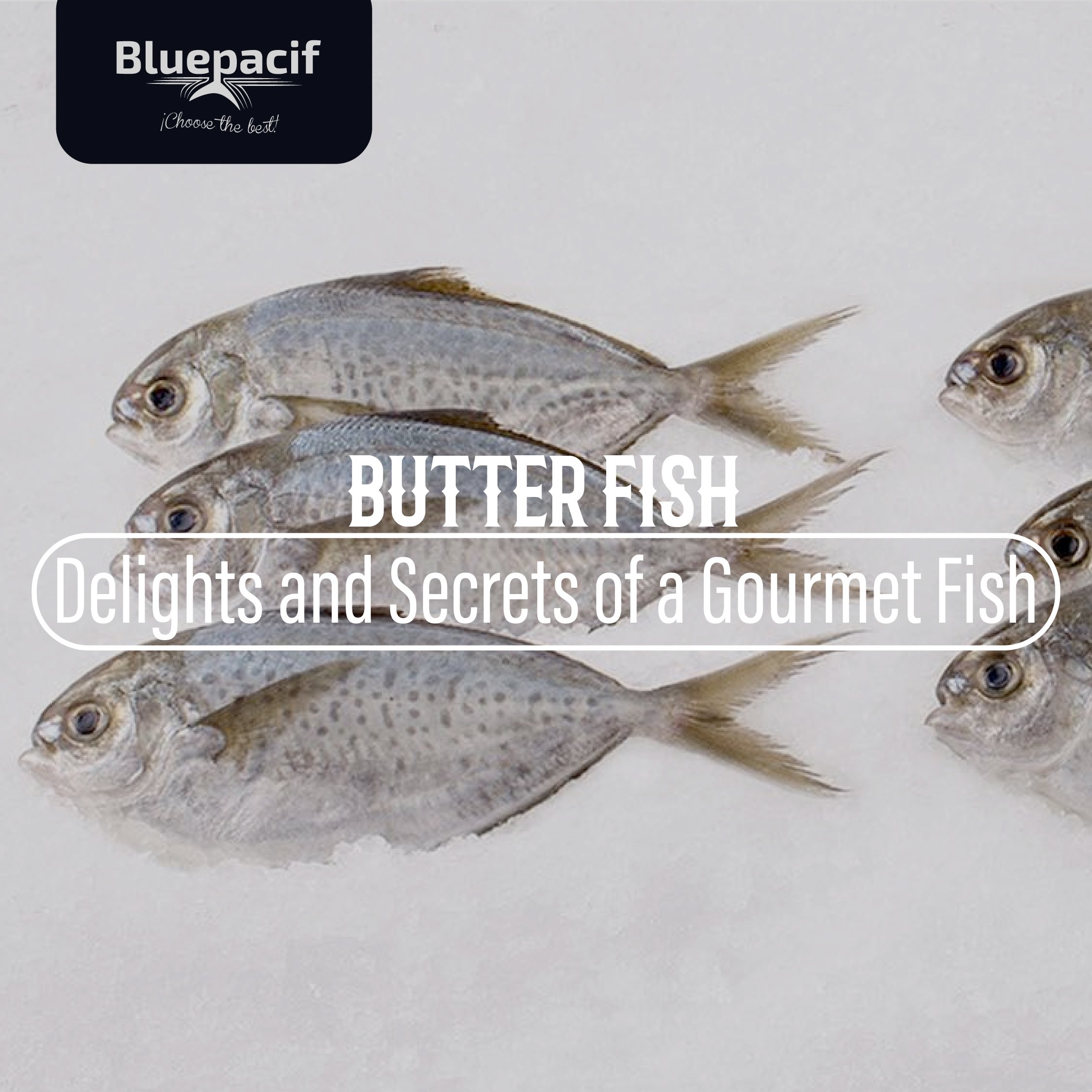Butter Fish: Delights and Secrets of a Gourmet Fish