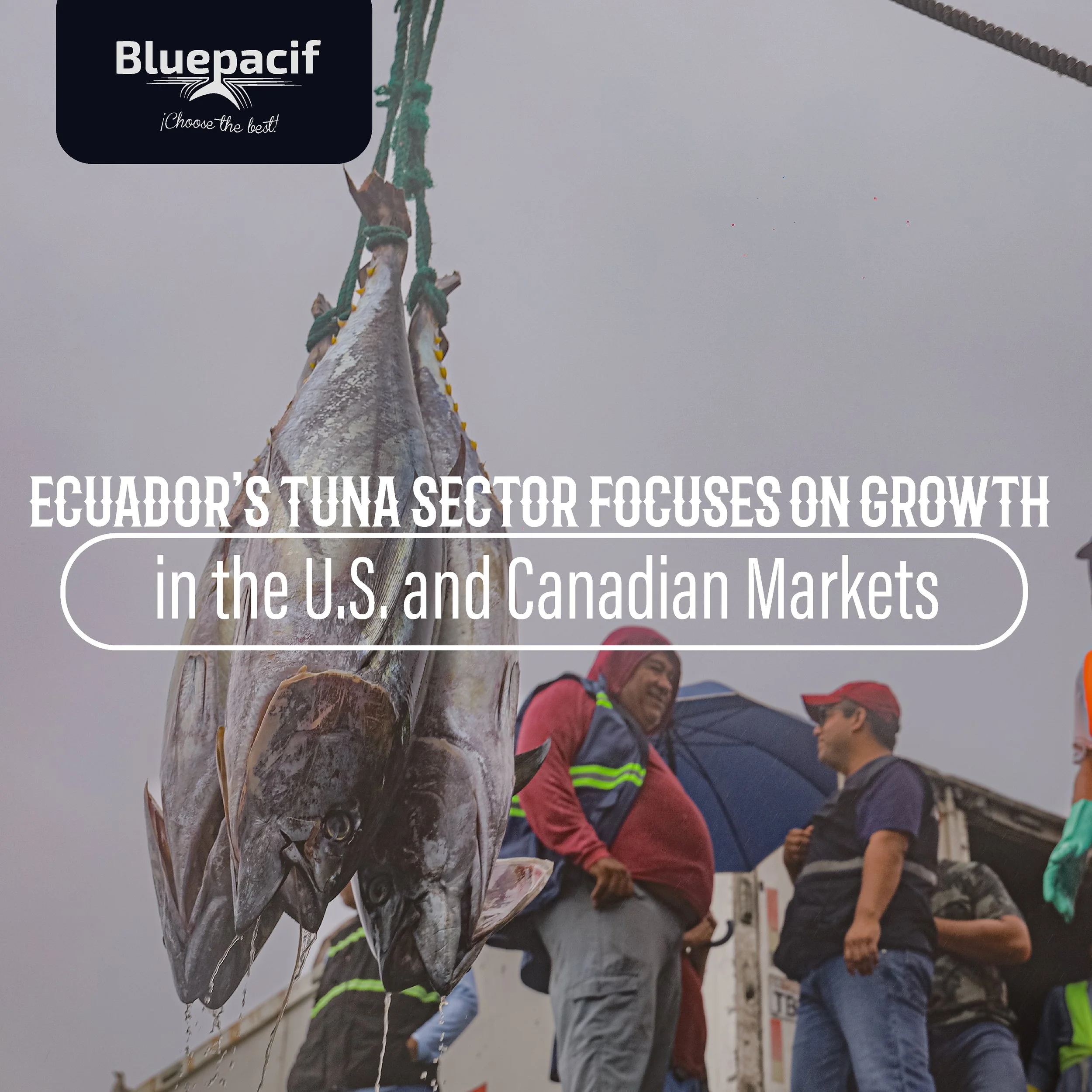 Ecuador’s Tuna Sector Focuses on Growth in the U.S. and Canadian Markets