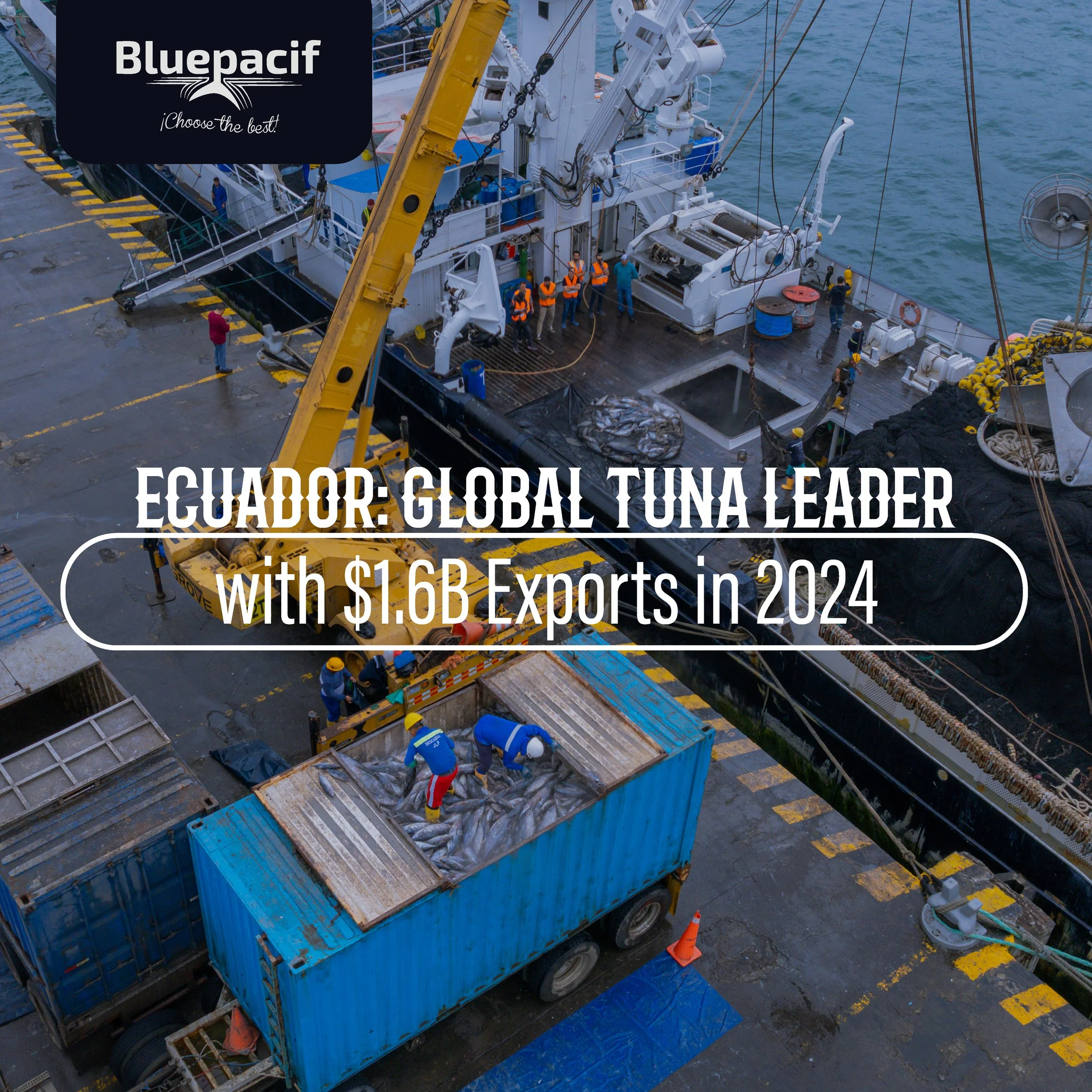 Ecuador Emerges as a Global Tuna Powerhouse: Exports to Surpass $1.6 Billion in 2024