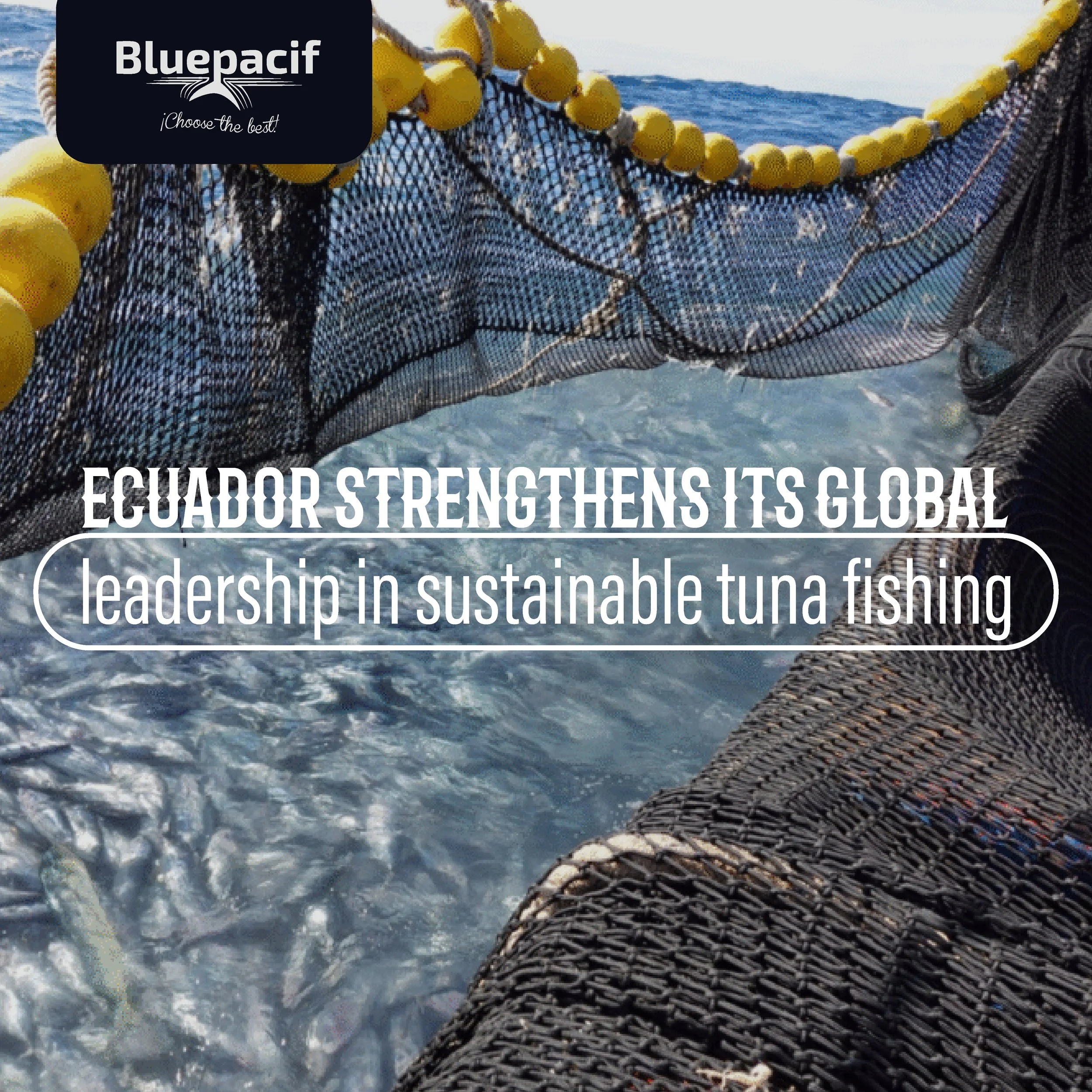 Ecuador strengthens its global leadership in sustainable tuna fishing