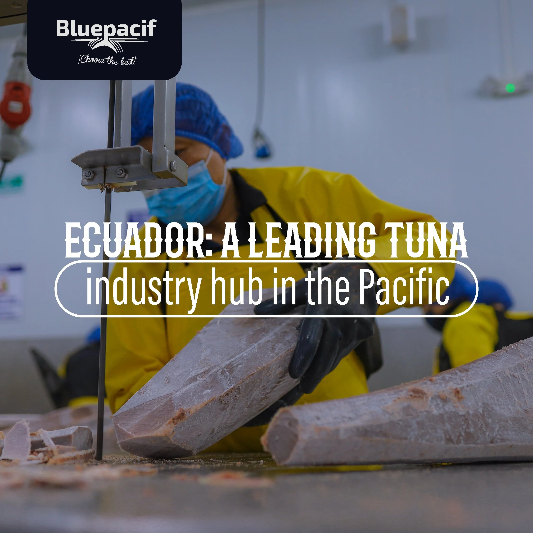 Ecuador: A leading tuna industry hub in the Pacific