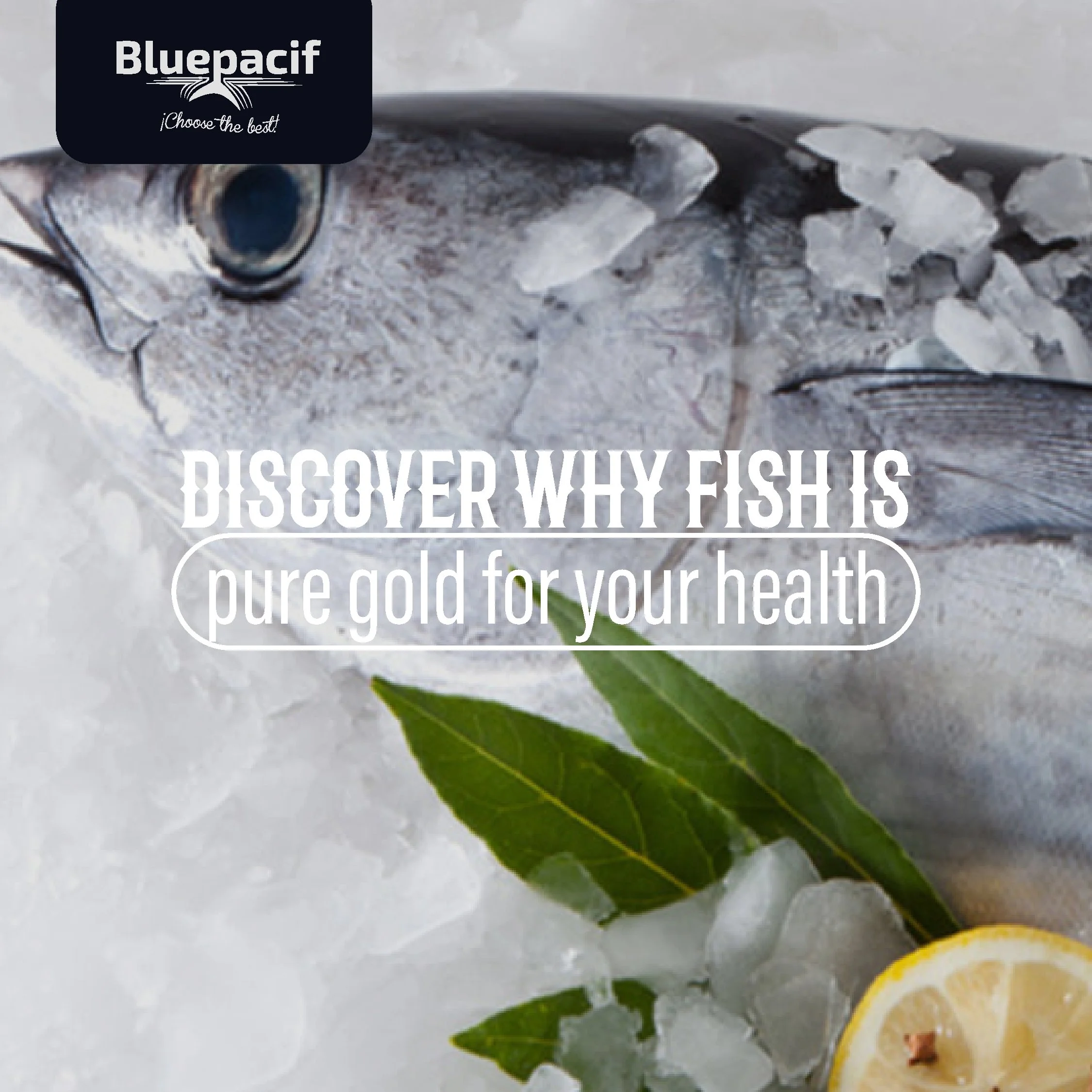 Discover why fish is pure gold for your heal