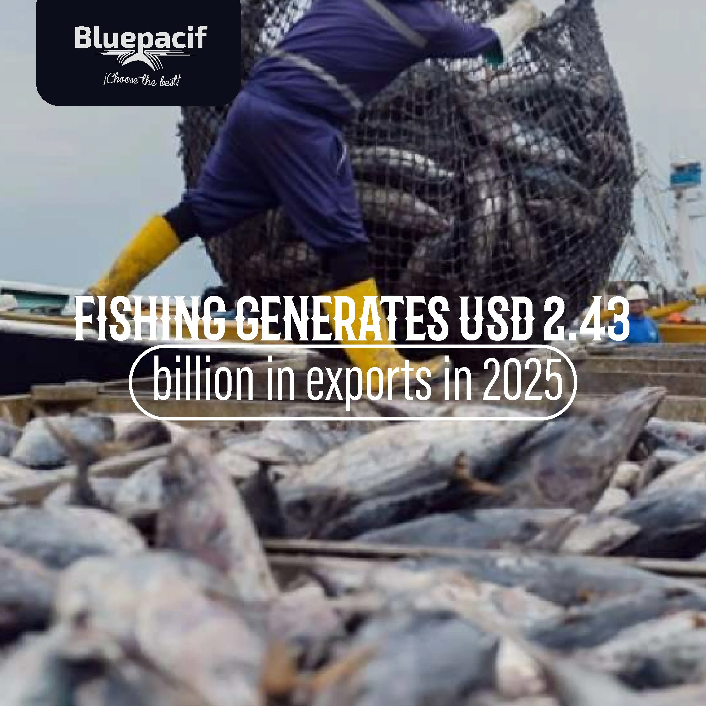 Fishing generates USD 2.43 billion in exports in 2025