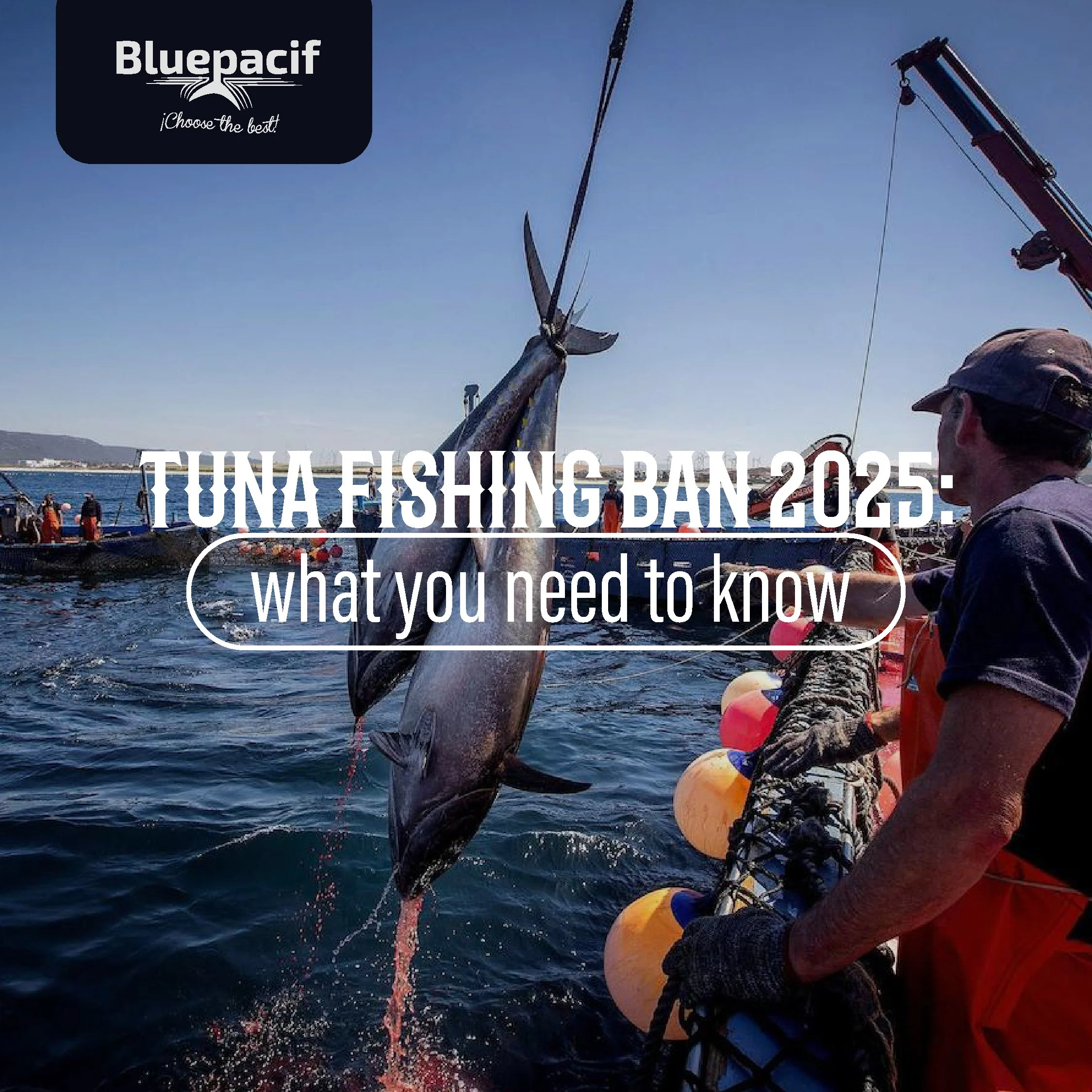 Tuna Fishing Ban 2025: what you need to know