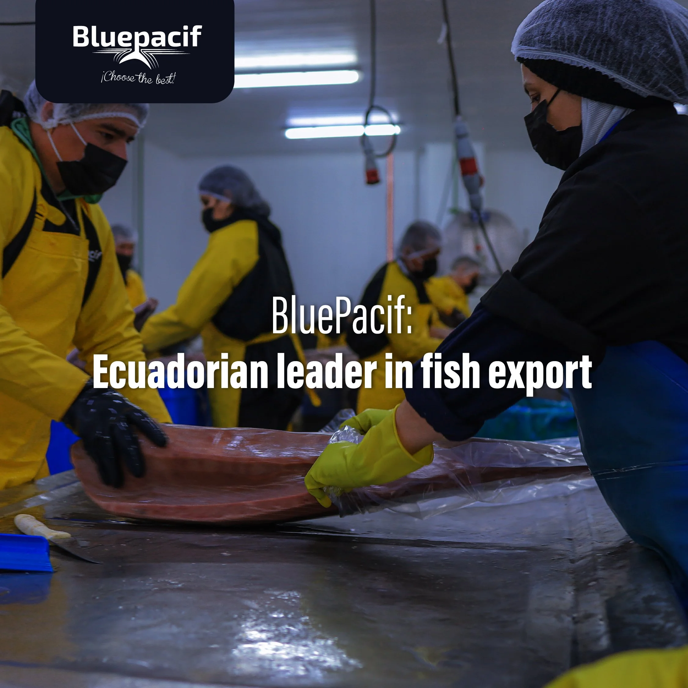 BluePacif: Ecuadorian Leader in Fish Export
