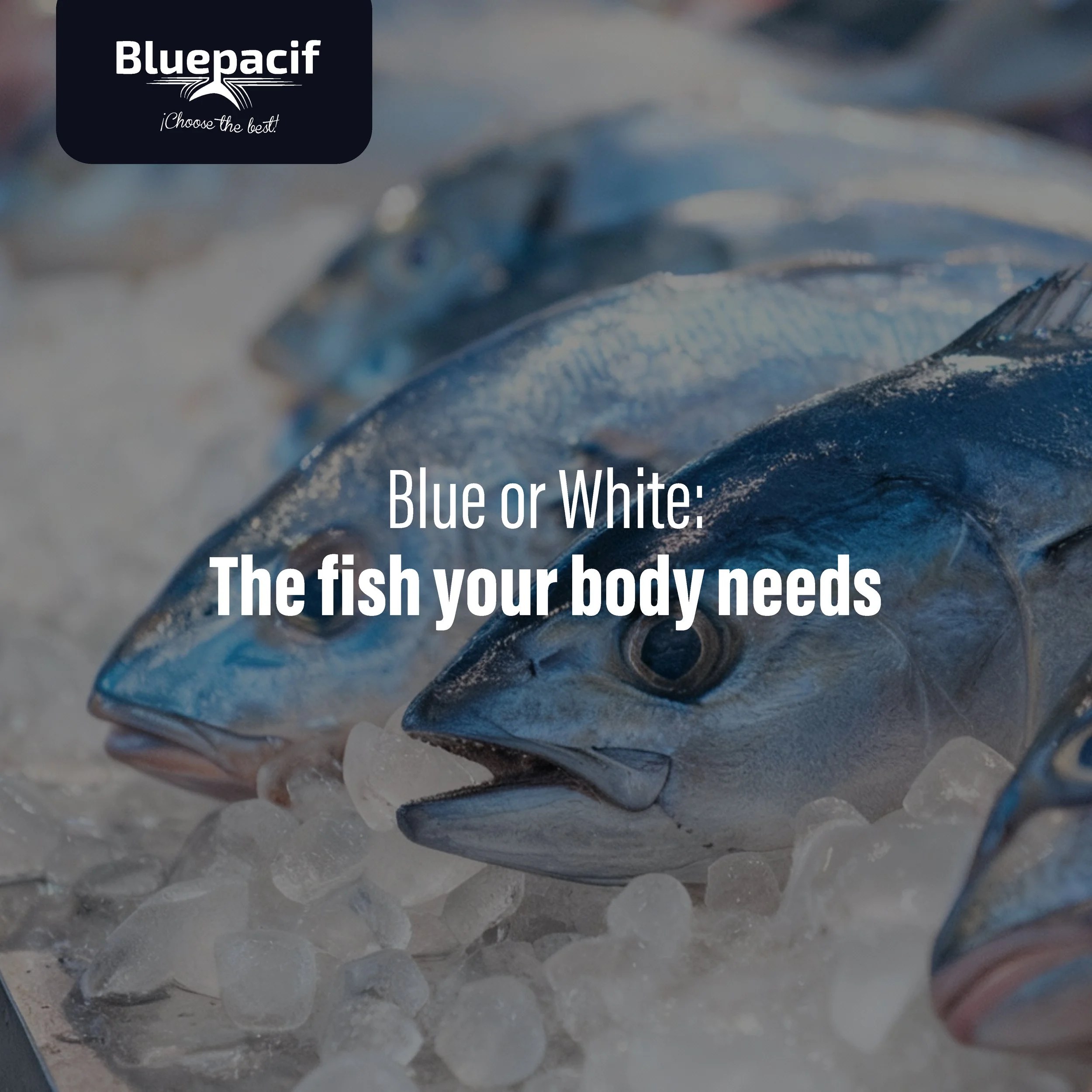 Blue or White: The Fish Your Body Needs