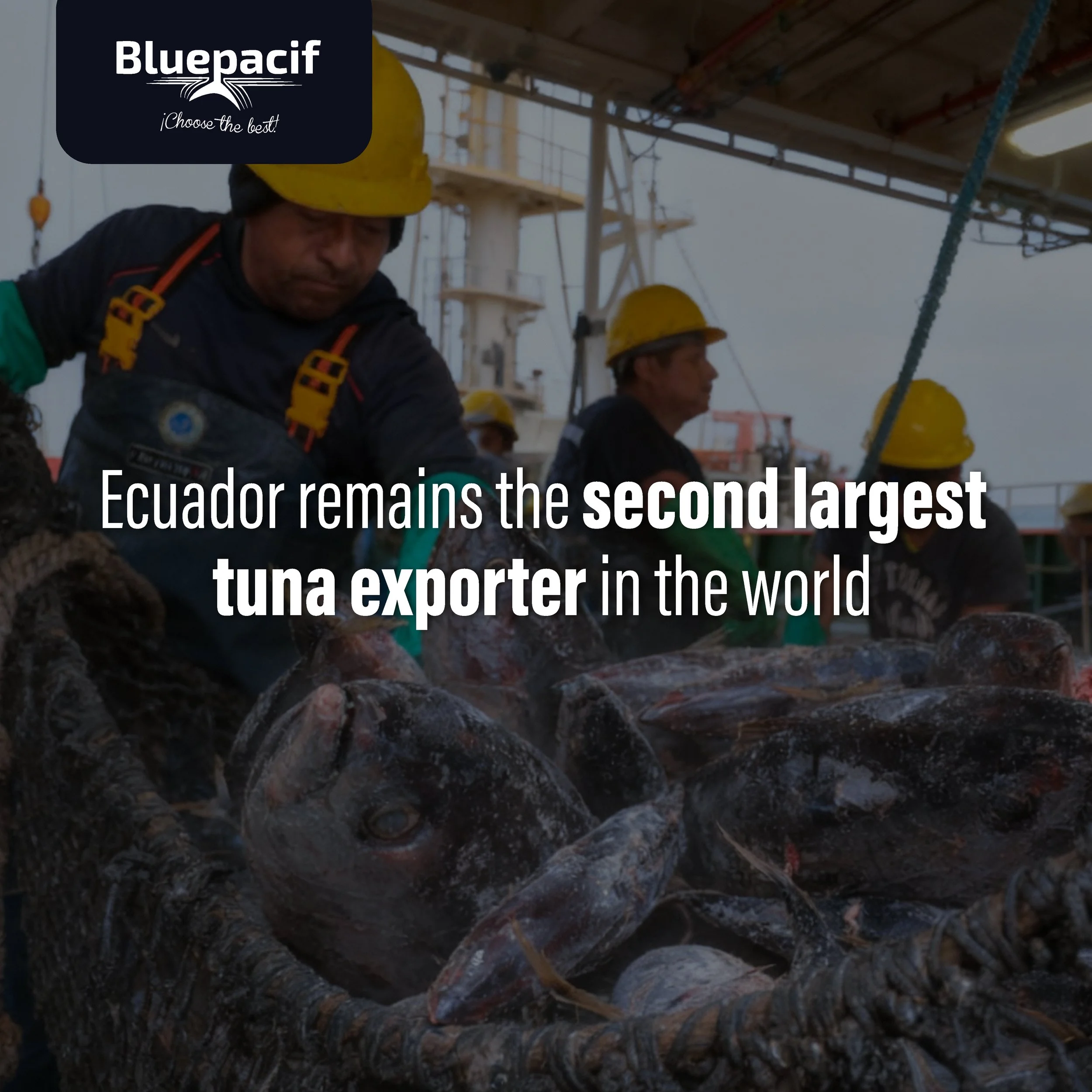 Ecuador remains the second-largest tuna exporter in the world