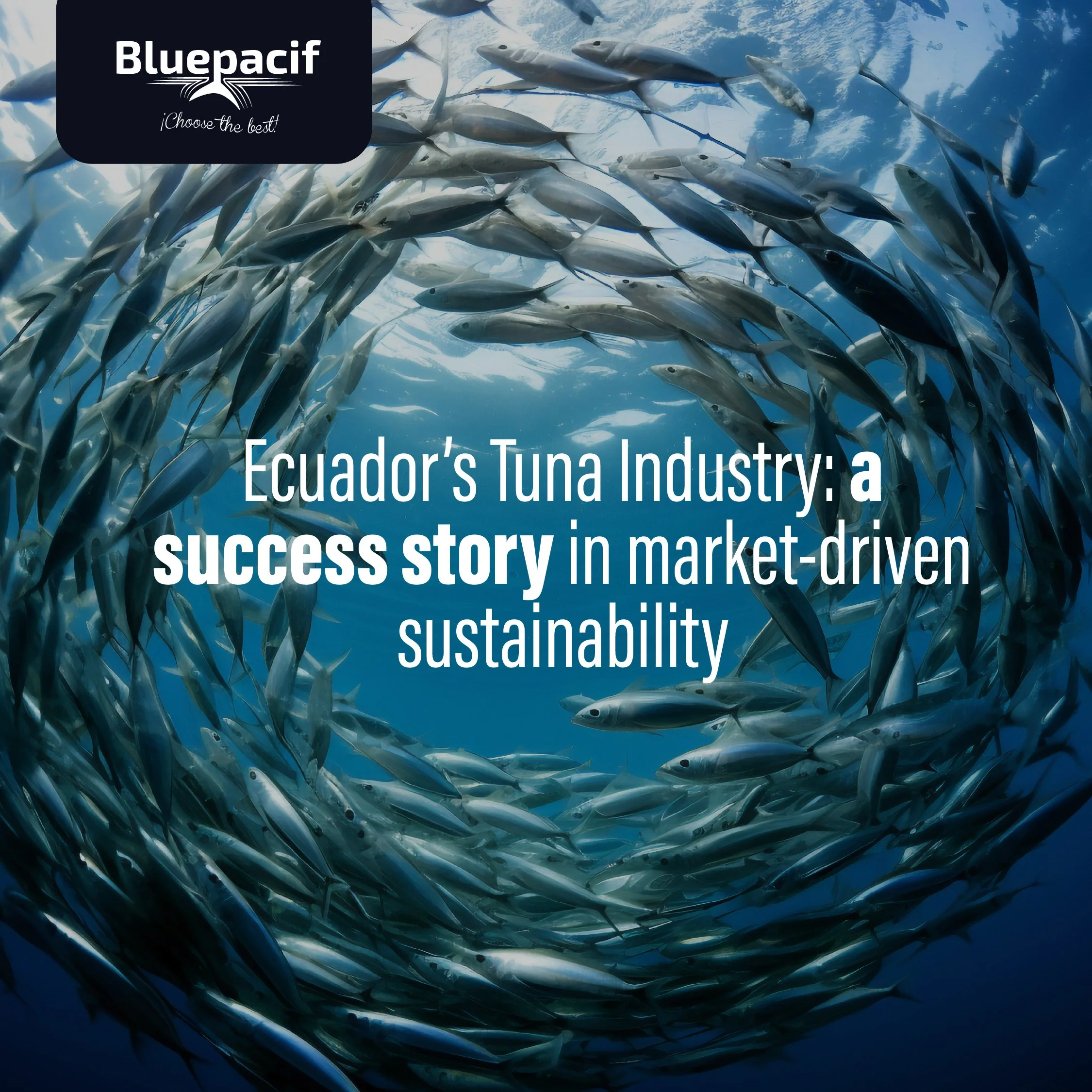 Ecuador’s Tuna Industry: A Success Story in Market-Driven Sustainability