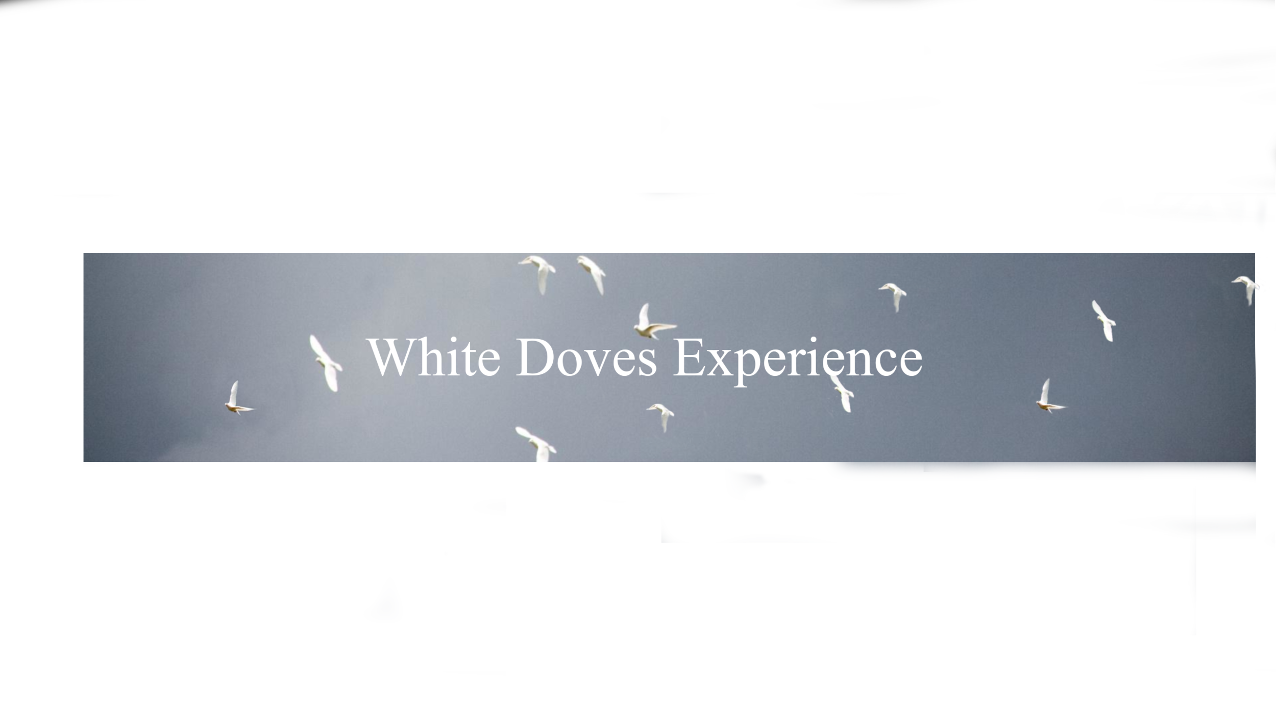 WDE banner.png