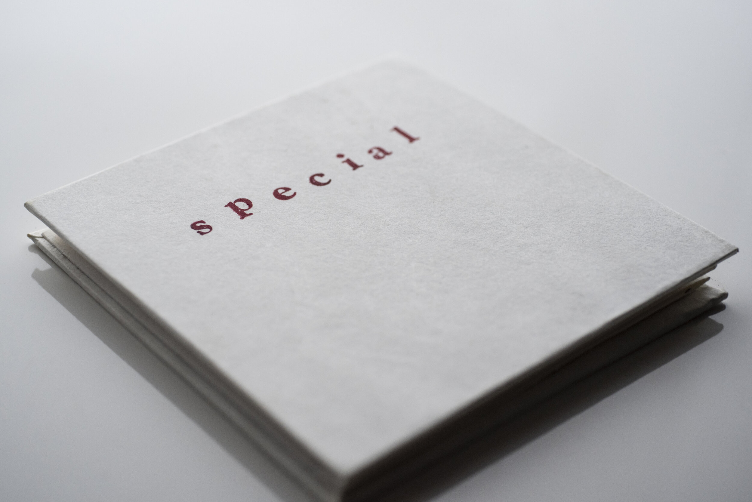 Special (book cover)