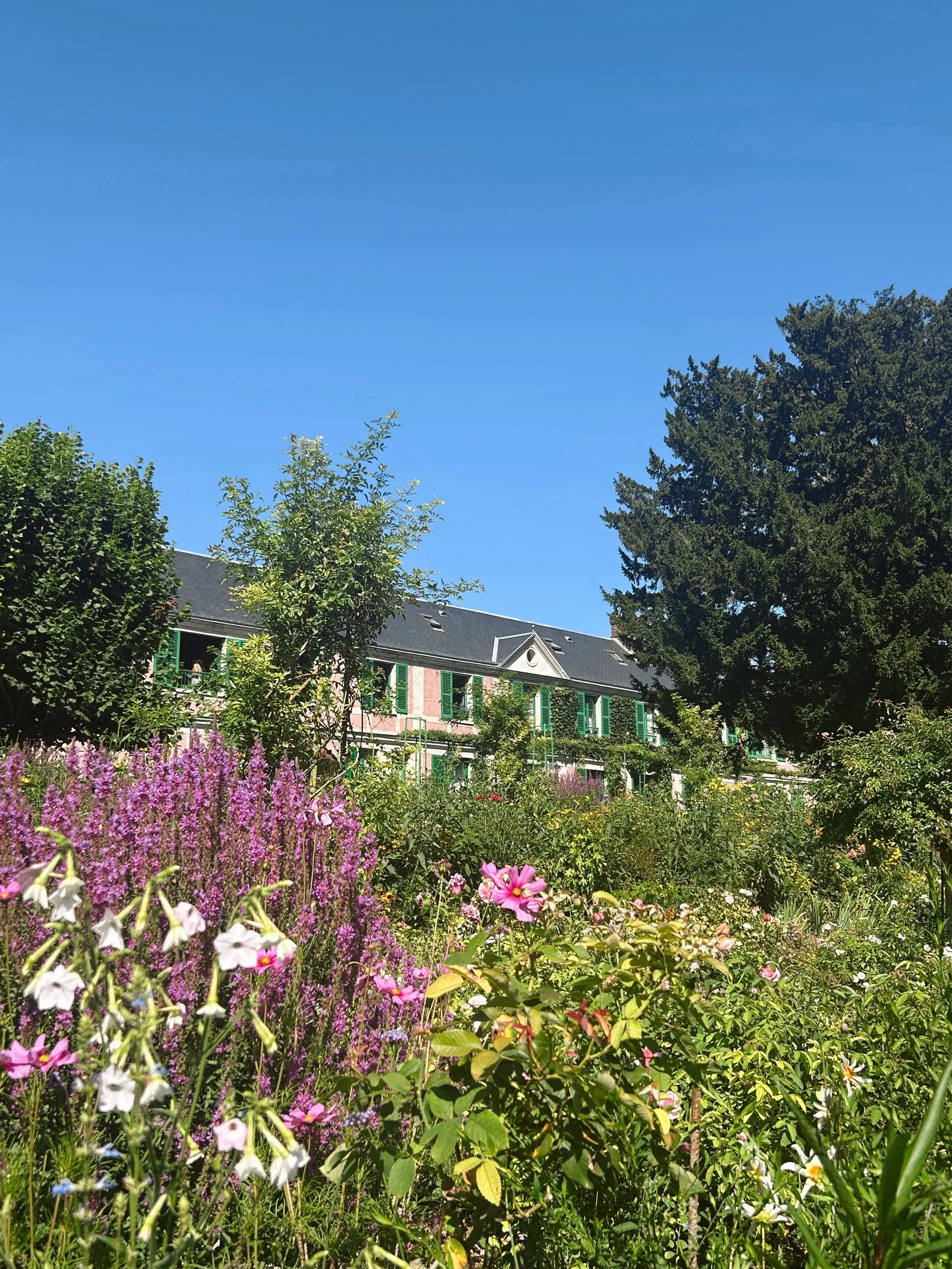 If heaven was a place on earth, I think this would be it 🌱
.
.
.
#giverny #claudemonetgardens #claudemonet #givernymonet #frenchimpressionism