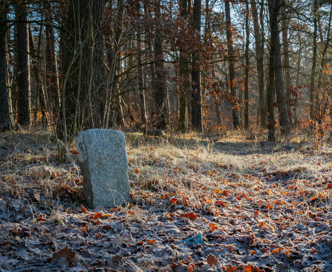 stone+2.png