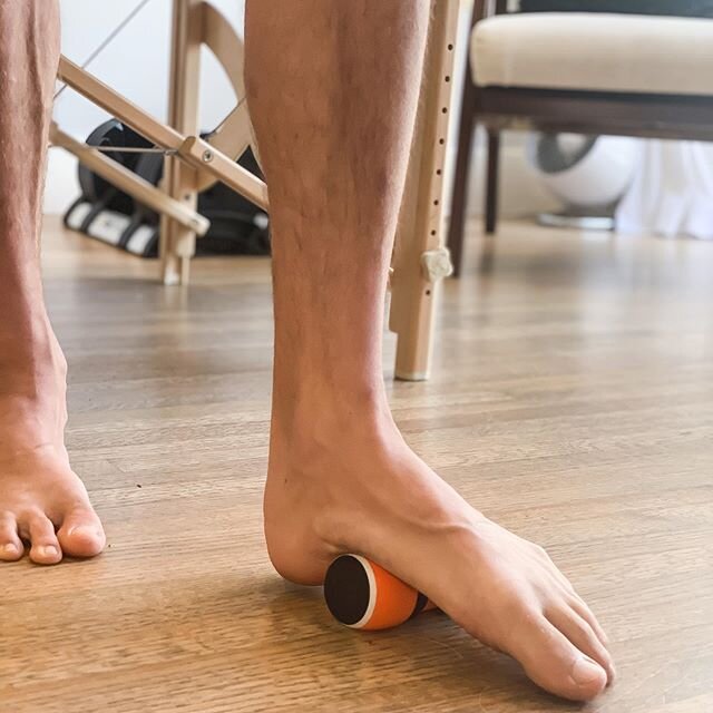 Myofascial Monday!:
The plantar fascia in the context of the  Superficial Back Line (SBL)

FORM: It starts from the underside of all five toes PLUS an extra band from abort of the little toe and then comes together into a thick band (called an aponeu