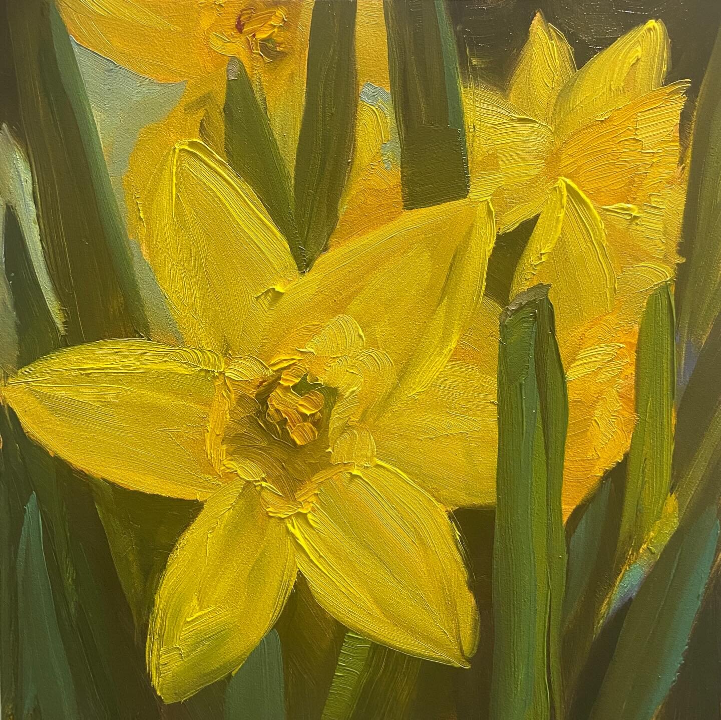 Finally
#oilpainting #oilpaint #dailyartist #daffodils #daffodilpainting #gardeningart #gardenpainting