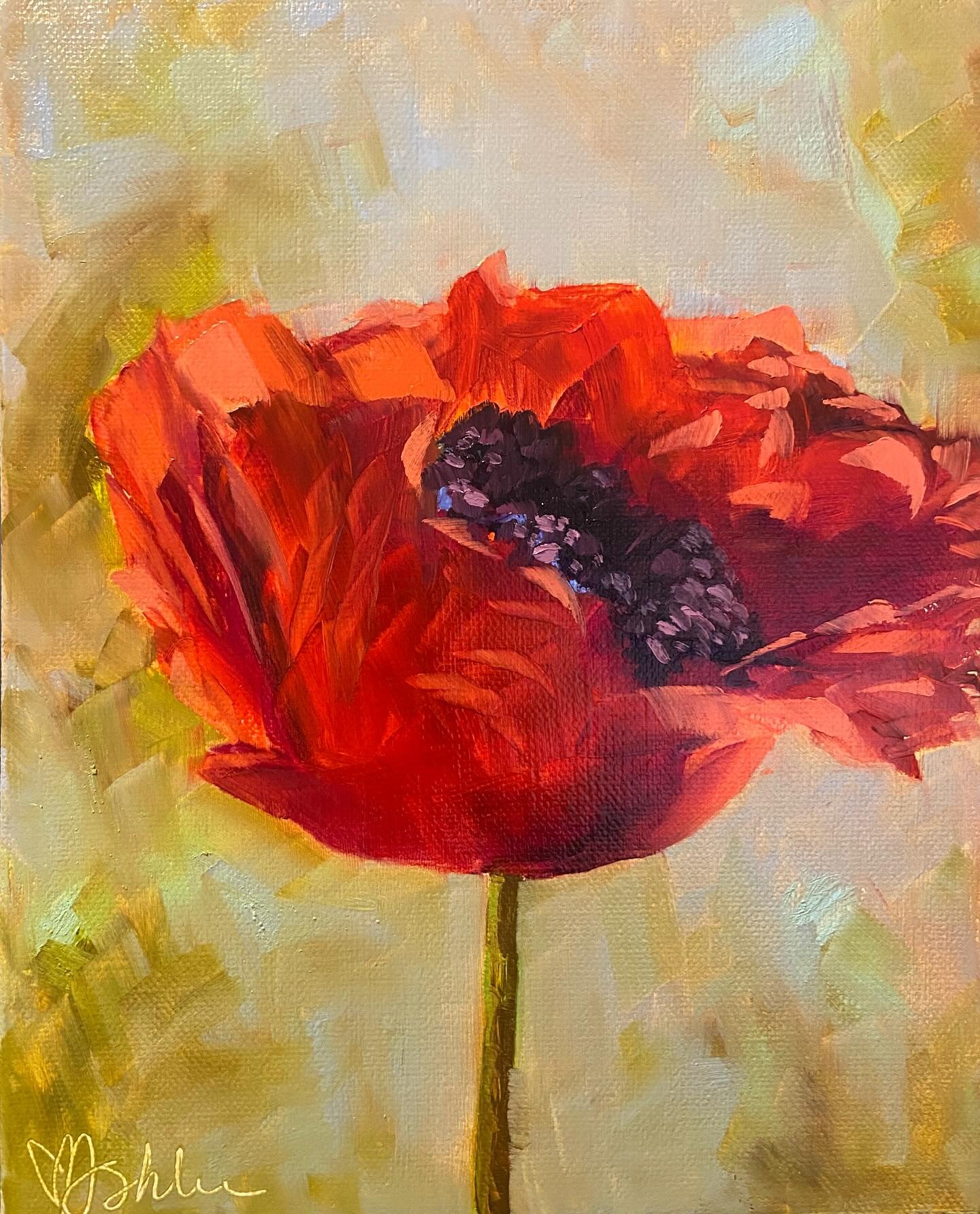 After A Long Day
#oilpainting #poppy #dailyartist #gardenartist #floralart #oilpaint #oilpaintings