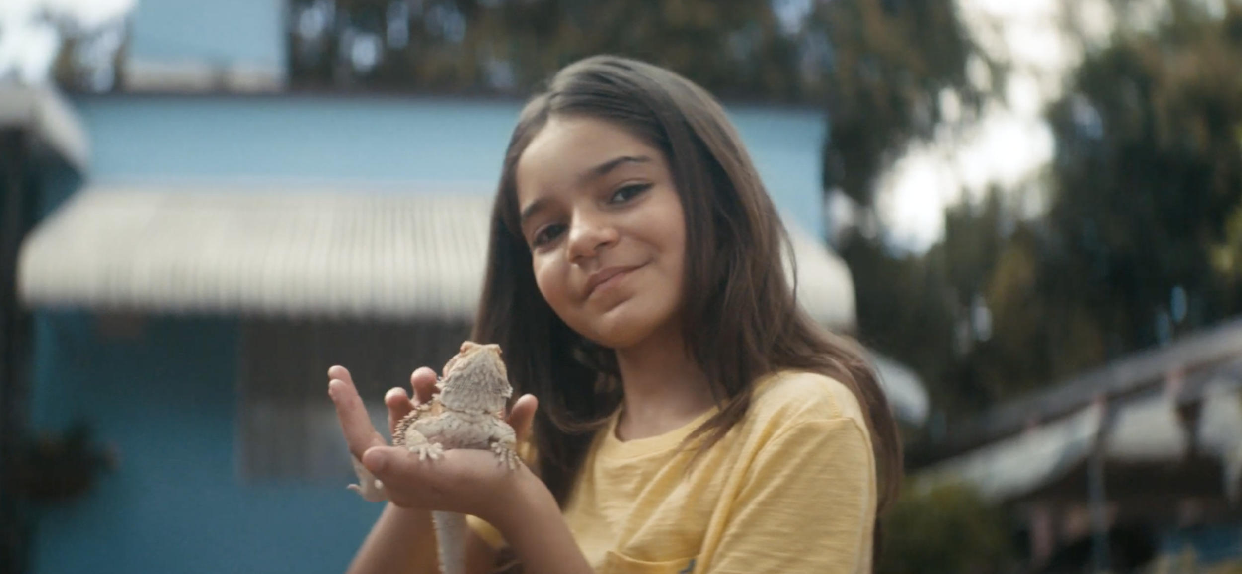 Screen Shot 2019-09-16 at 11.19.21 PM.png