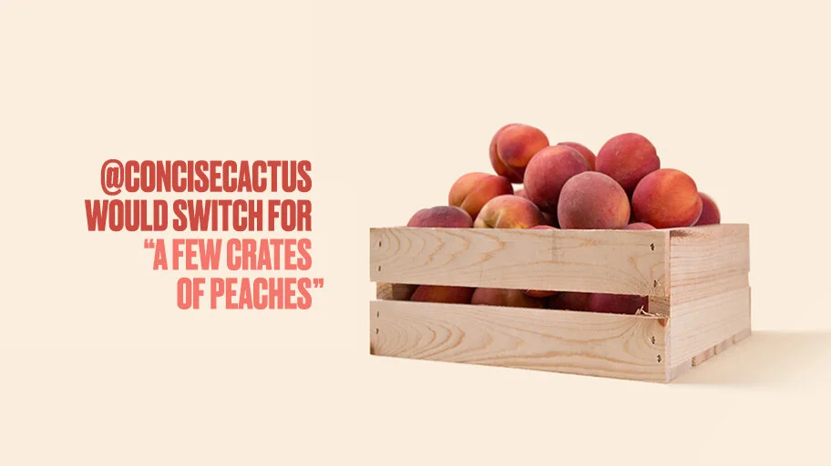 peaches.jpg