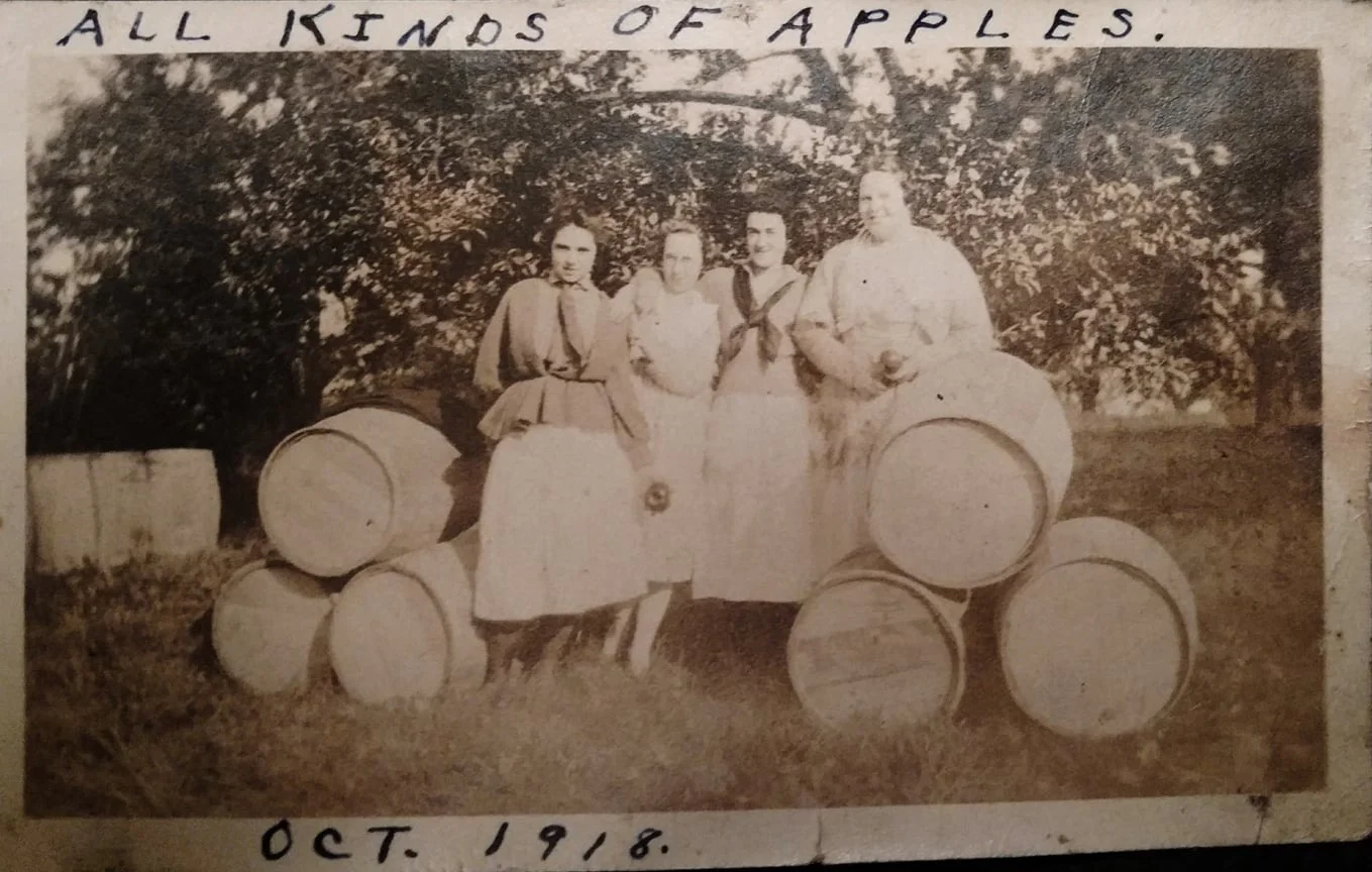 中明森菜 ALDEAR BAR 明るい菜のはな on X: 