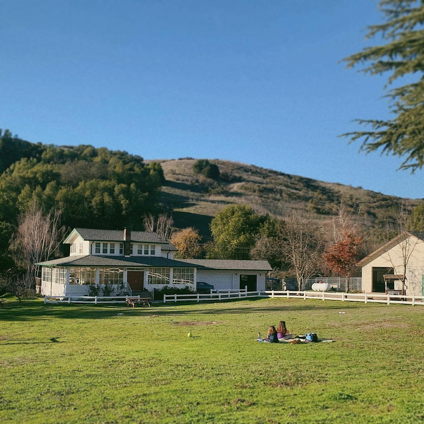 &ldquo;We had such a wonderfully needed time at the farm today. We needed some peace and space and God&rsquo;s beauty. Thank you for filling our hearts. The kids are asking if they can do school remotely from the lawn every day...I haven&rsquo;t seen