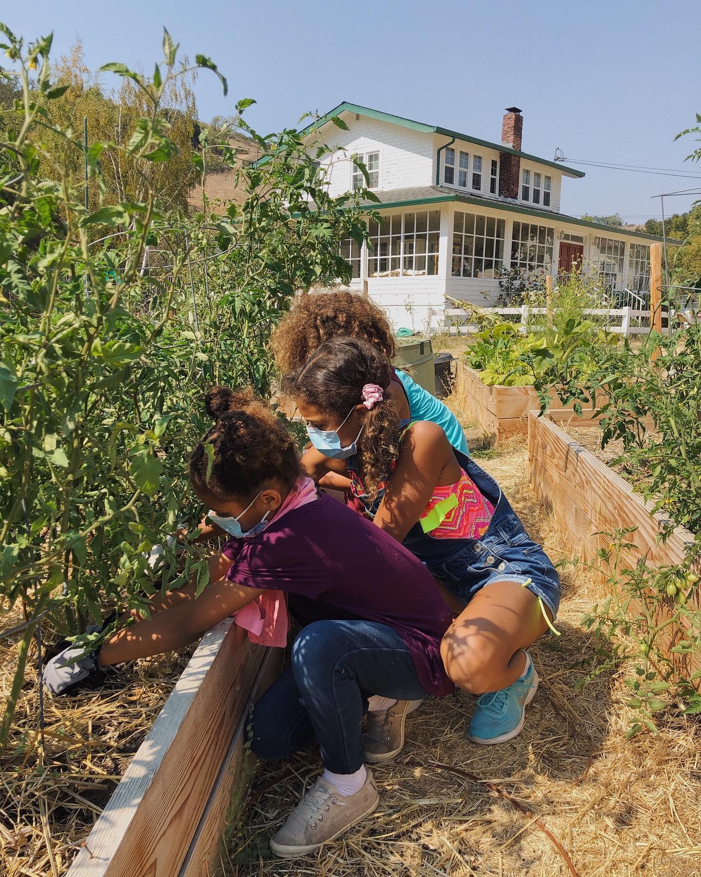 Lately, we&rsquo;ve had a significant influx in folks that want to come by for farm tours, volunteer work, or simply visiting the animals + playing outside. Multiple days a week, we have people stopping by to see what we&rsquo;re doing here at Heirlo