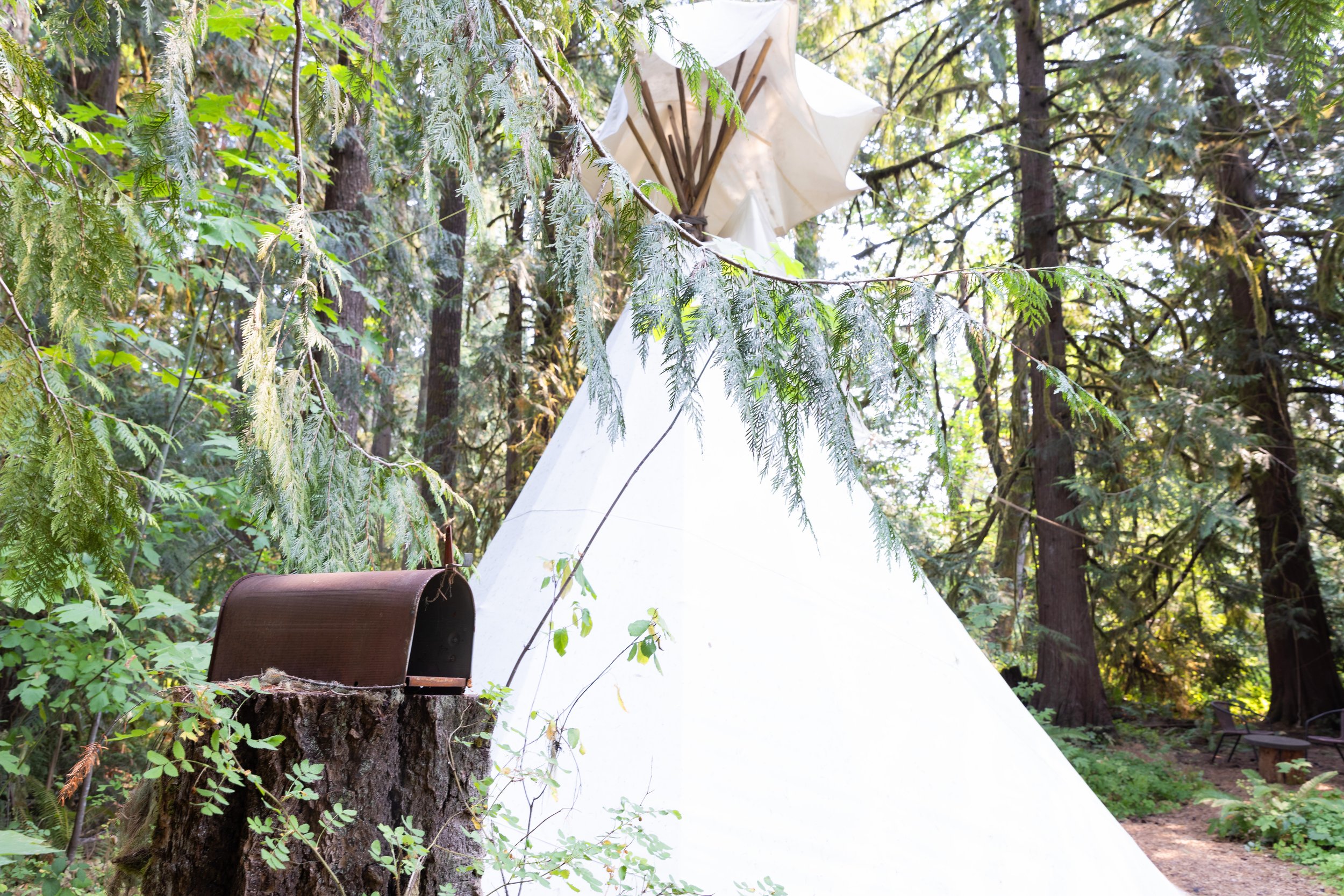 tipi mailbox.jpg