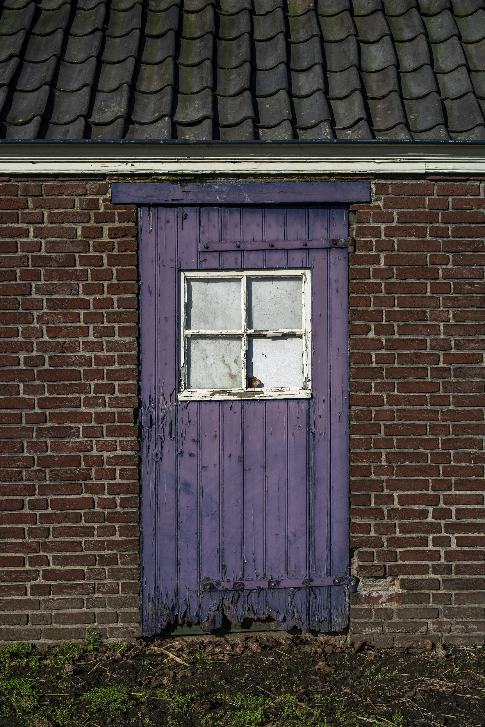 There’s a Purple Door on My Street