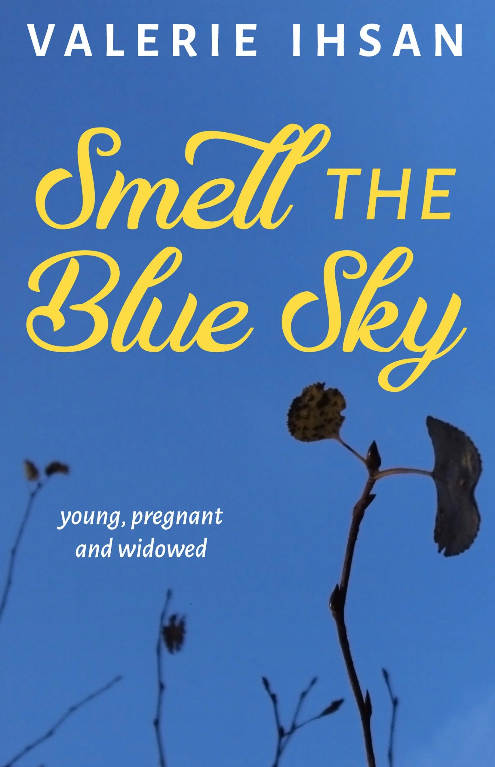 Loss. Hope. Love.

The day Valerie discovered she was pregnant was the day her husband died. She didn't know how to be a widow. Widows were old. Not twenty-six and pregnant. Valerie moved cross-country, gave birth, and found solace and healing in art