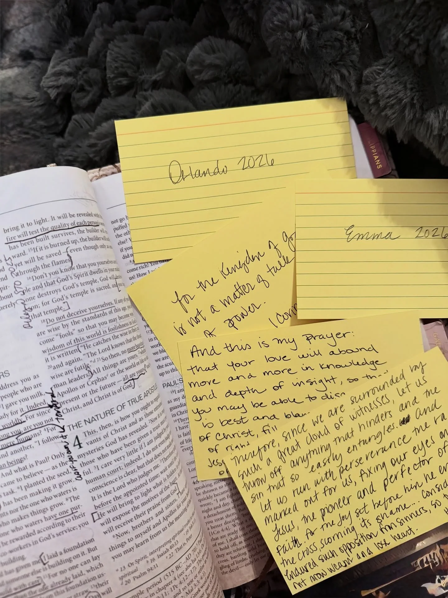 The last few years I have spent time at the new year praying over my husband and my kids, and asking the Lord to give me a verse for each of them that I can hold onto and speak over them throughout the year. I write them on index cards and give them 
