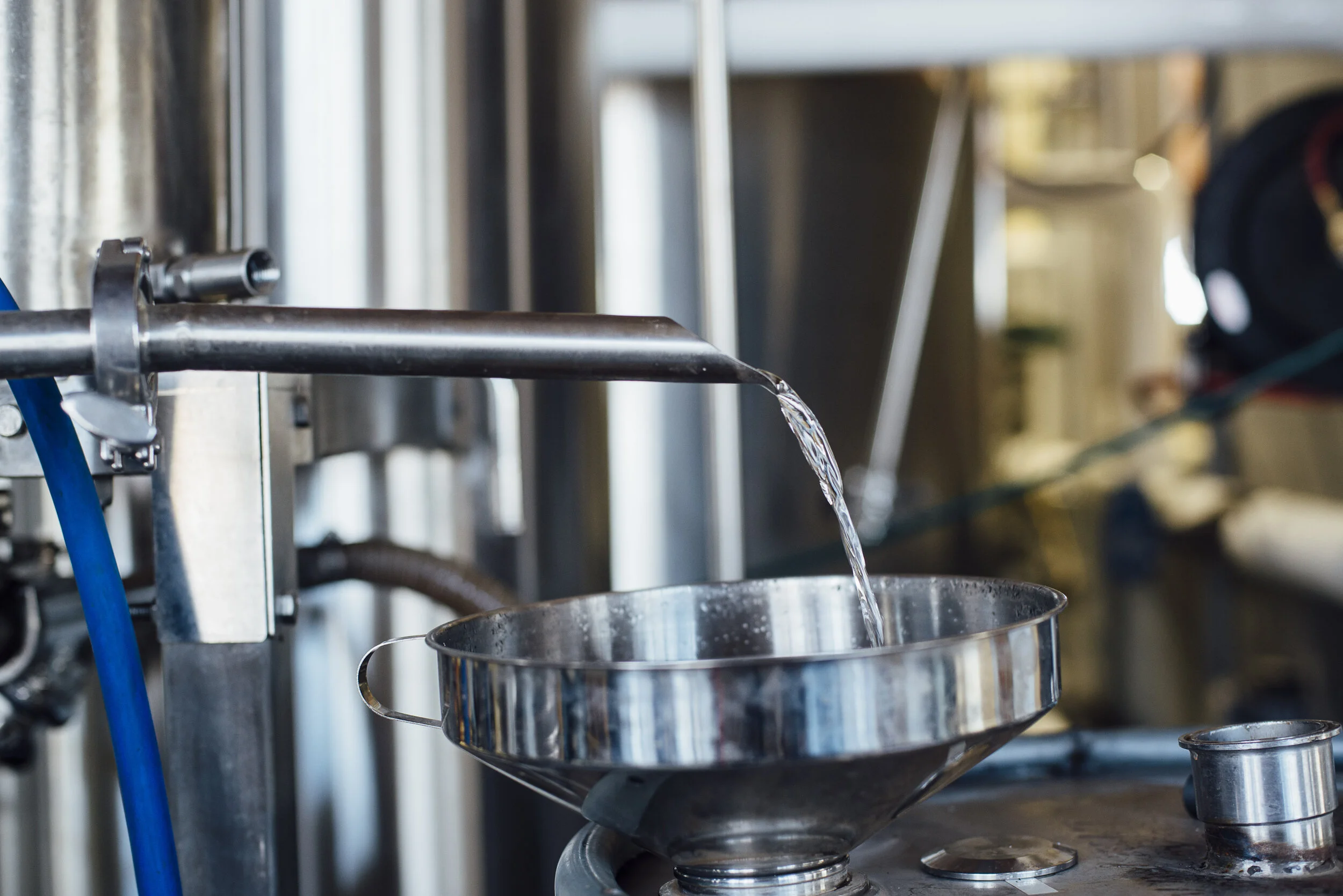 Switchgrass-2 (1).jpg