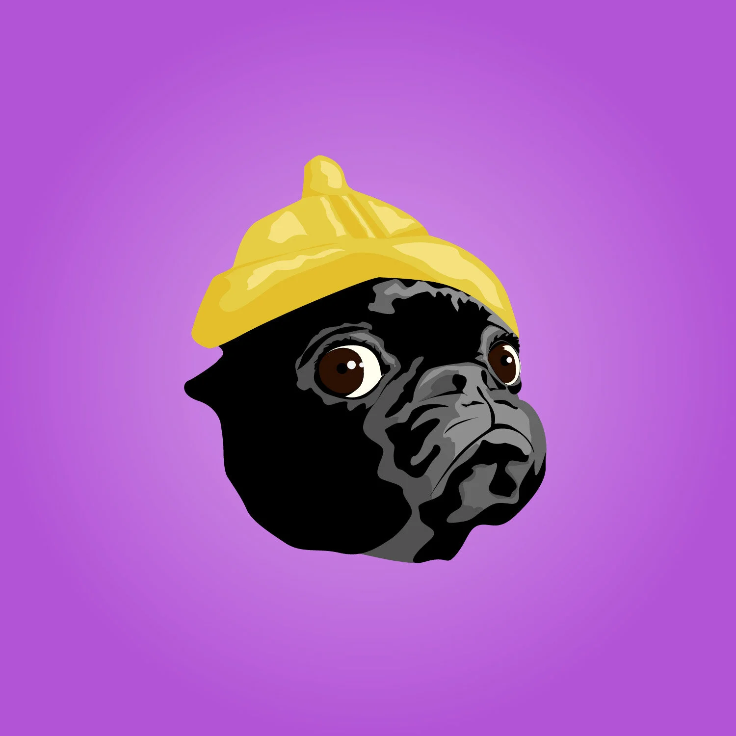 MG_Cartoon Pug_01.jpg