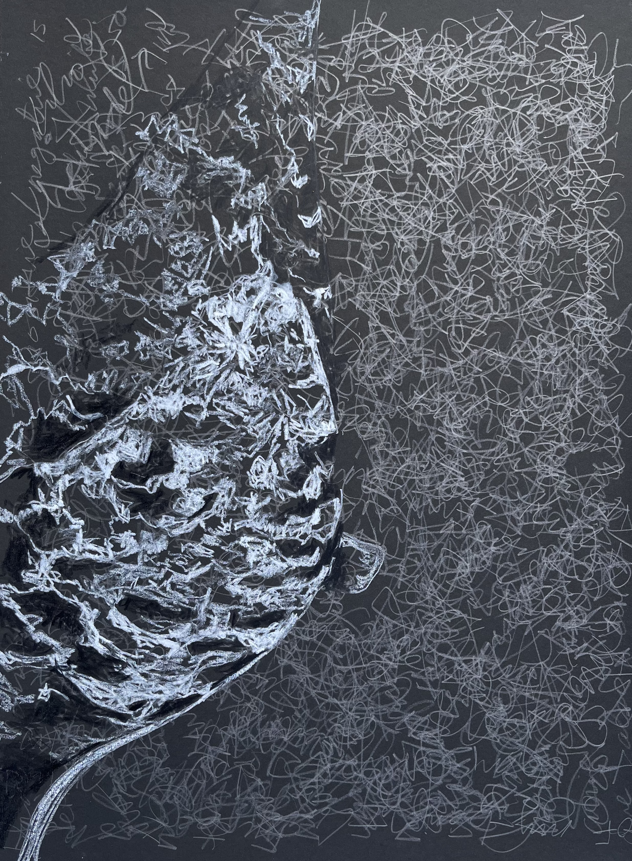 Mammography Journal-All the Things I Must Accept