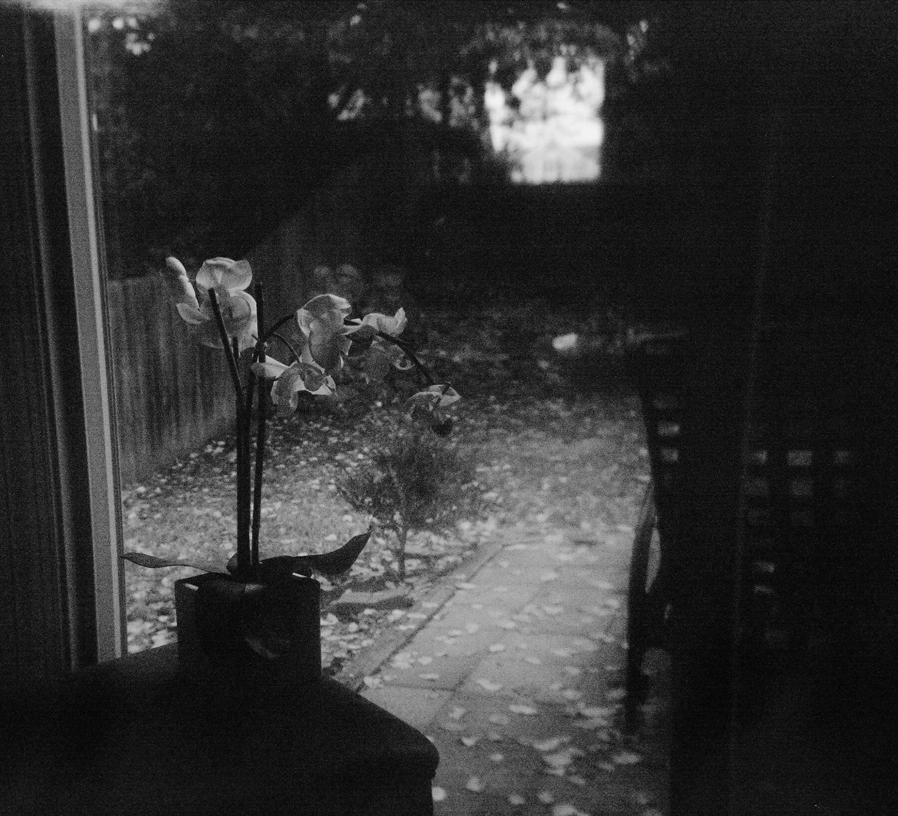 08 holga bw.jpg