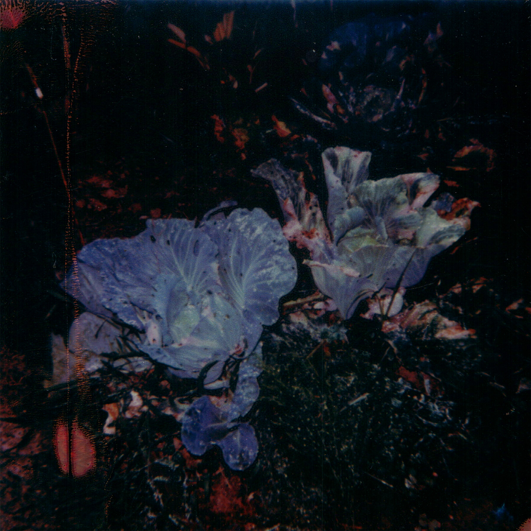 sem01.jpg
