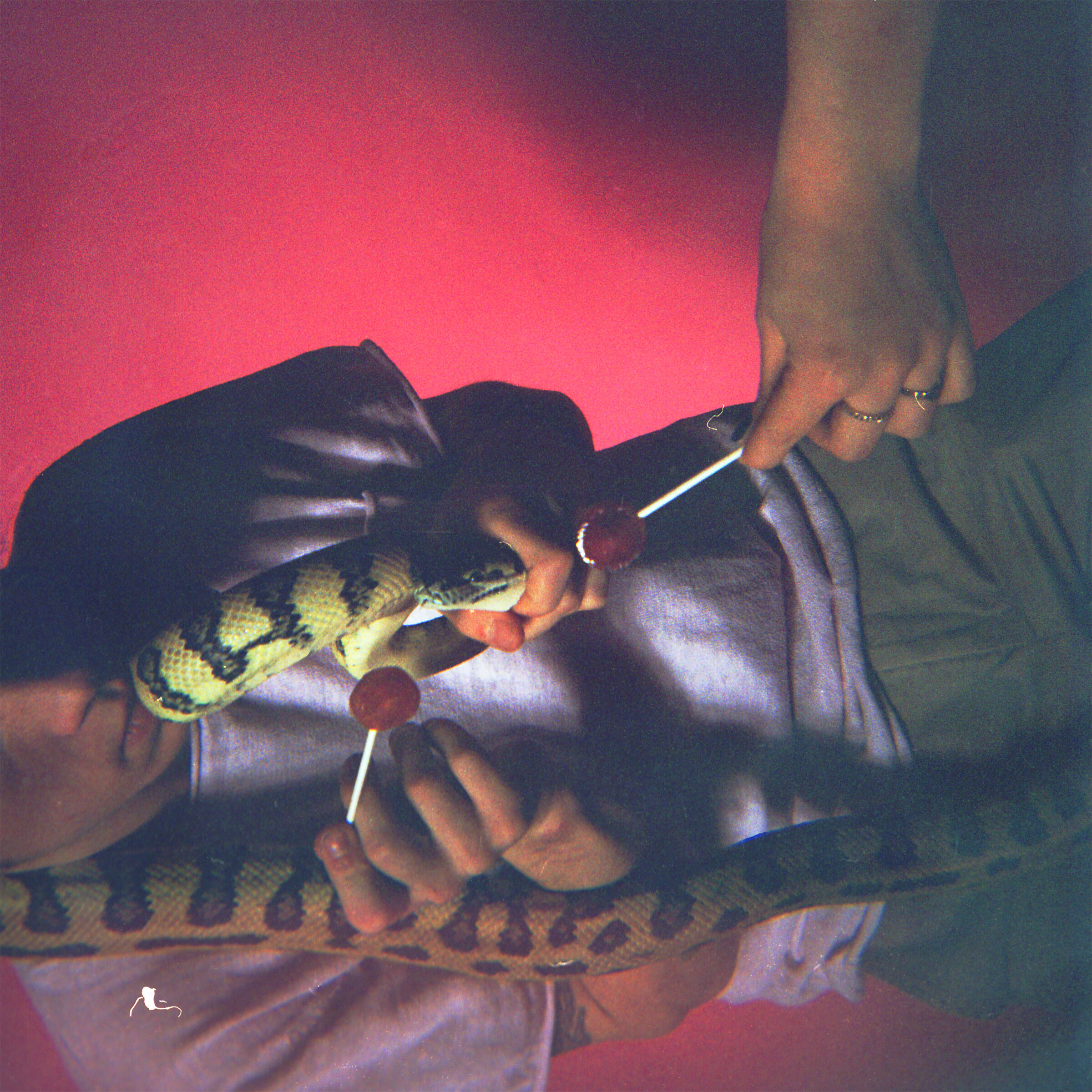 snake lick cool hiannie.jpg