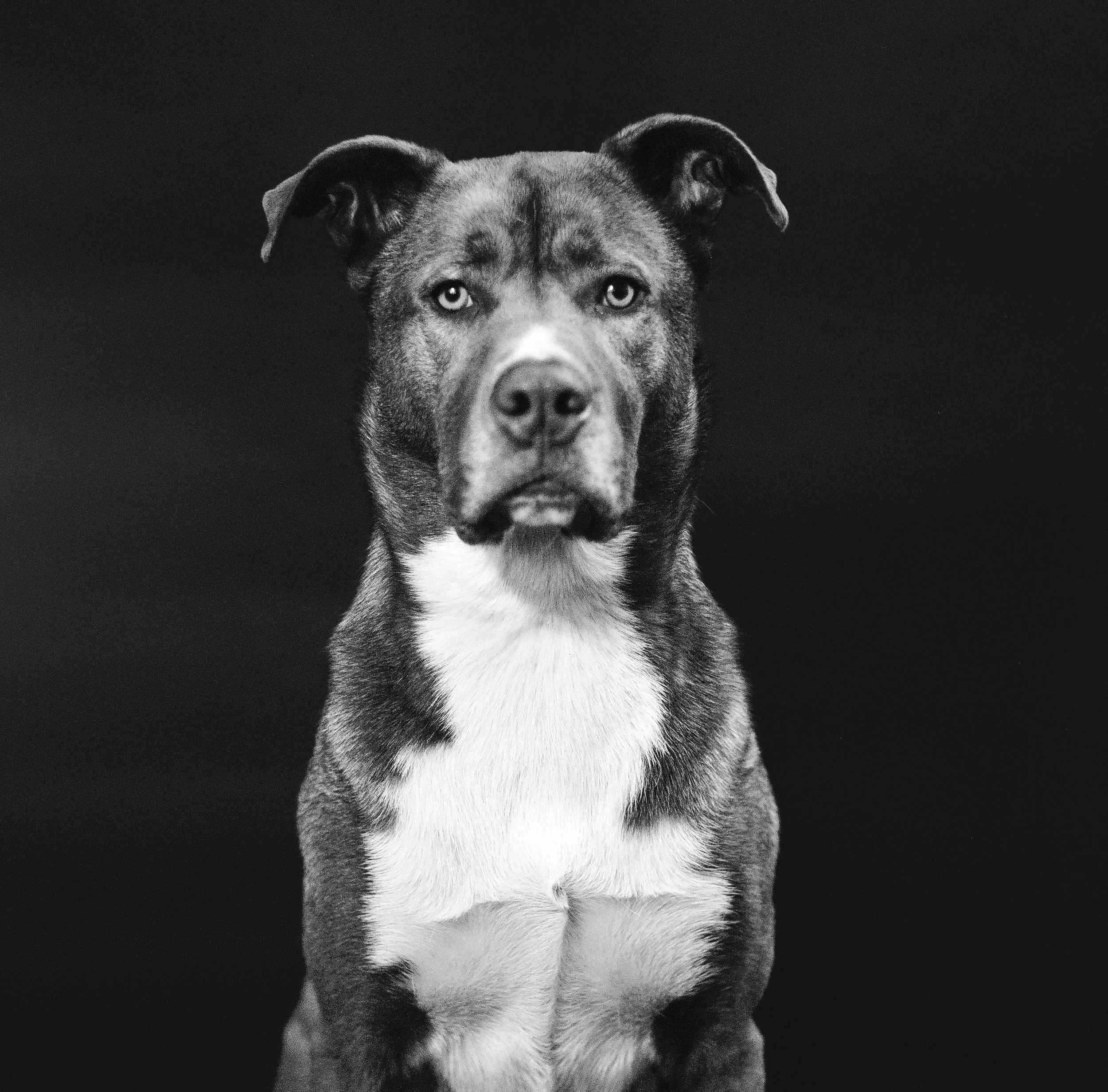 Coby-1.jpg