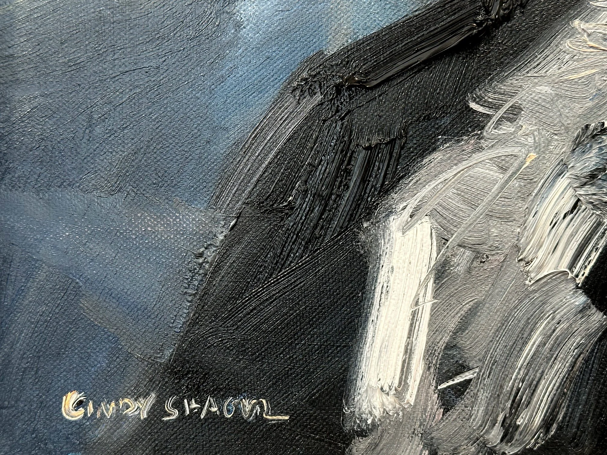 005431_5.jpg